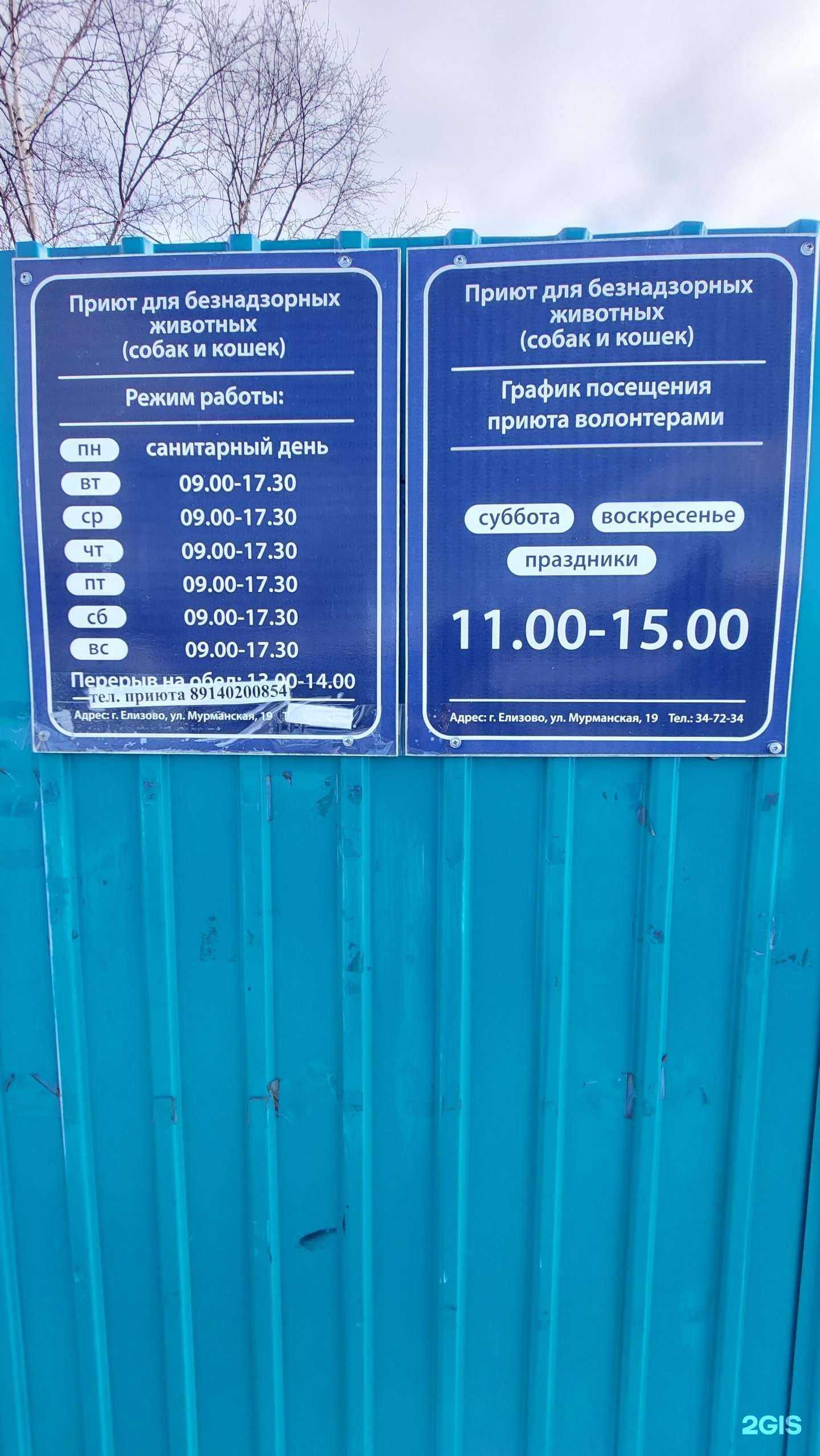 Отзывы на компанию Приют для безнадзорных животных в г. Елизово c фото