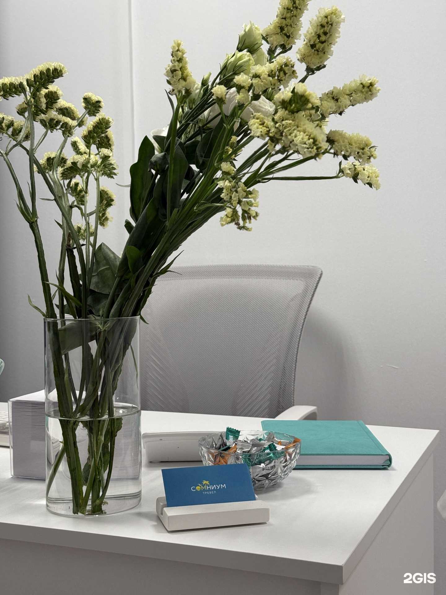 Отзывы на компанию Сомниум тревел в Перми c фото