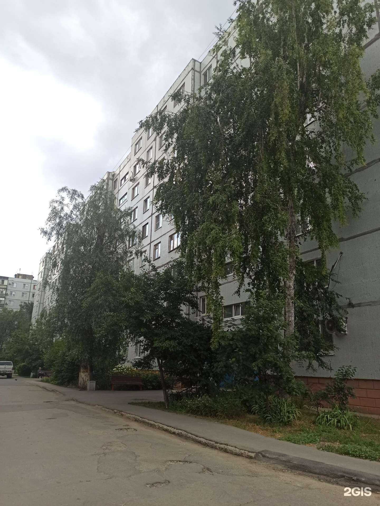 Отзывы на компанию Магазин цветов в Балакове c фото - фотография 2 из 2