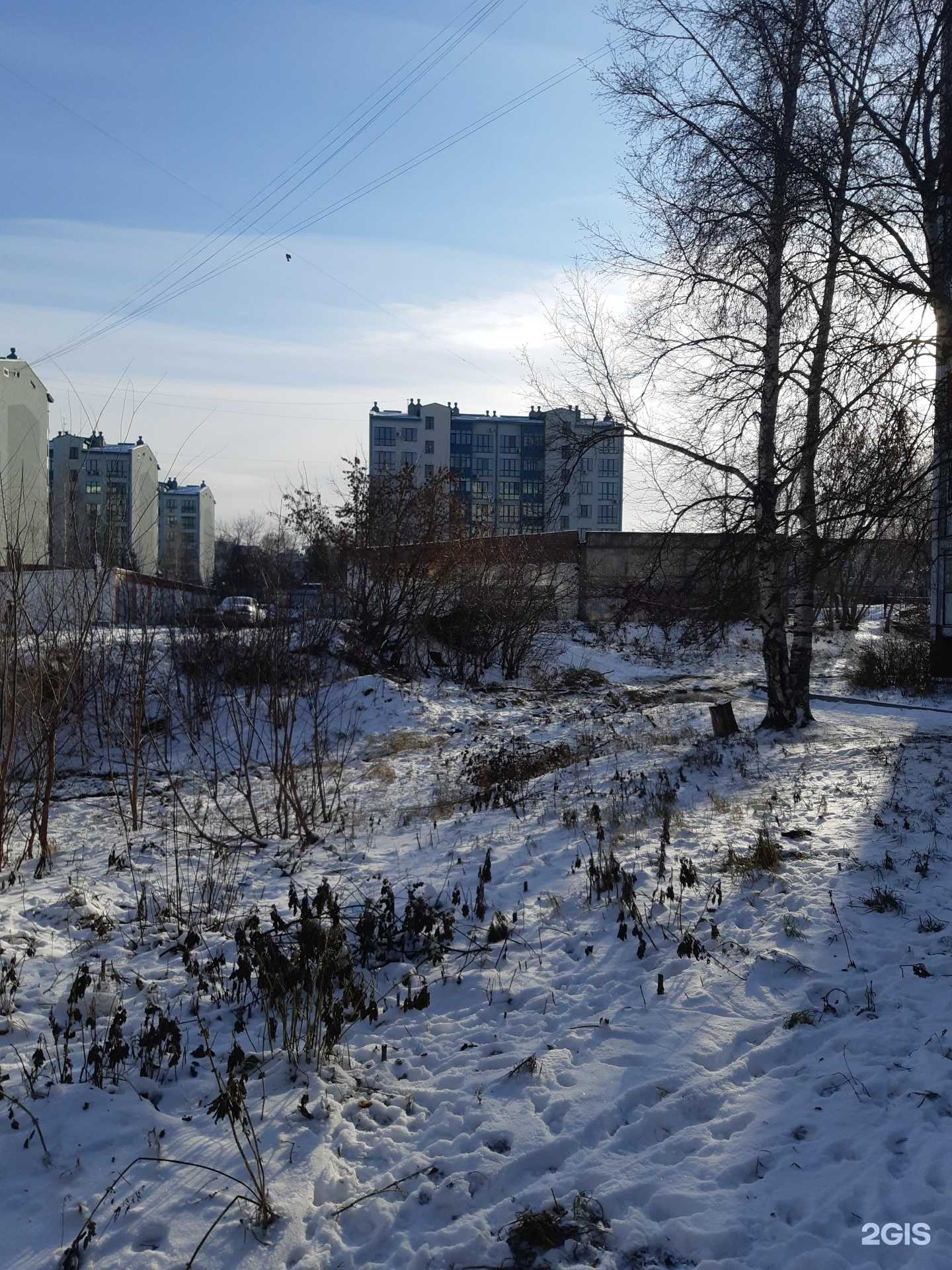 Отзывы на компанию Беркут-С в Кемерове c фото