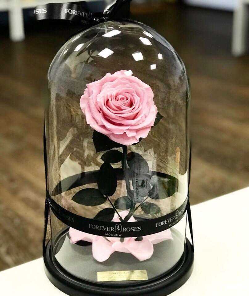 Отзывы на компанию Сабина в г. Сыктывкар c фото