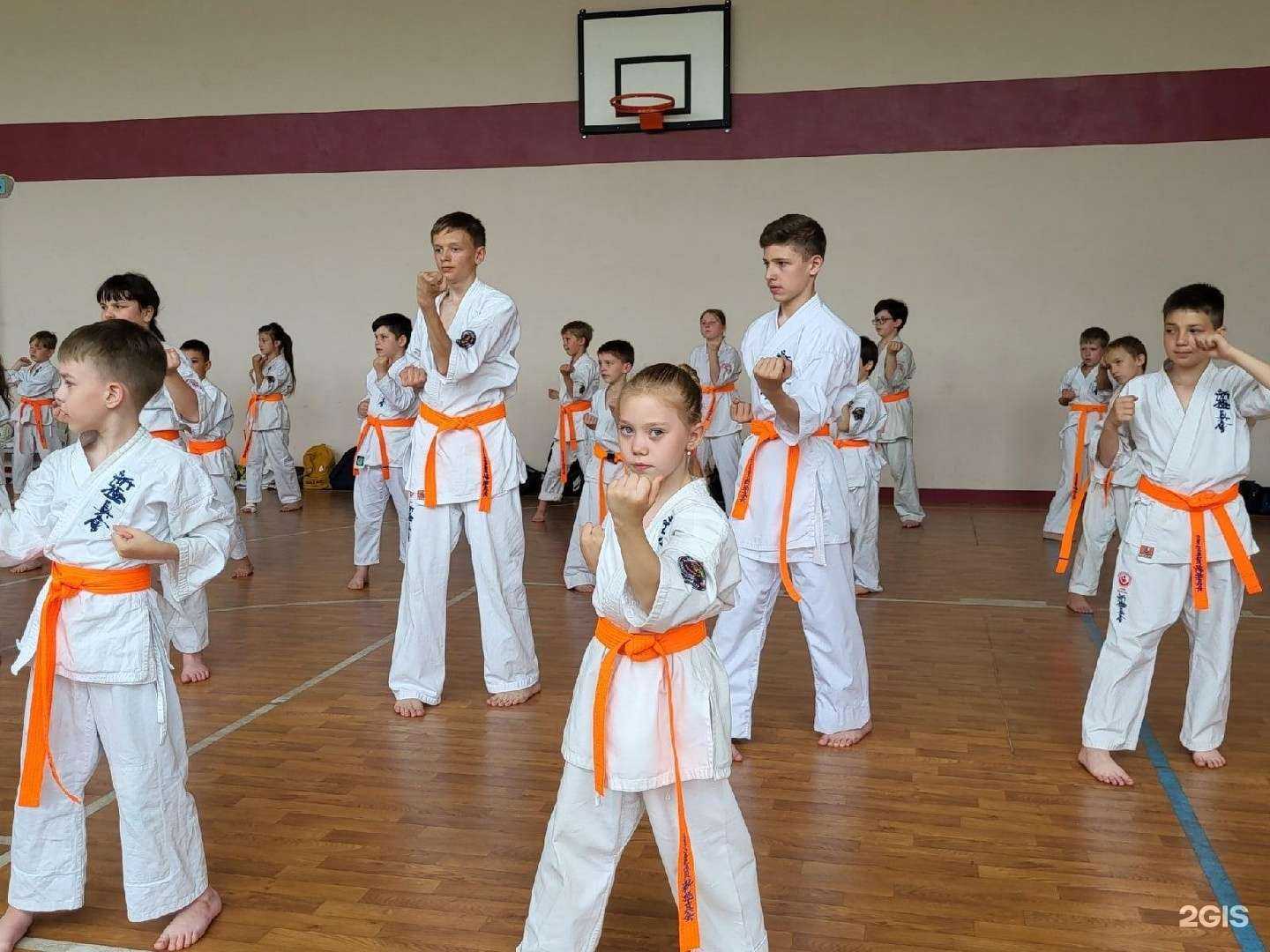 Отзывы на компанию Синкёкусинкай каратэ в г. Барнаул c фото