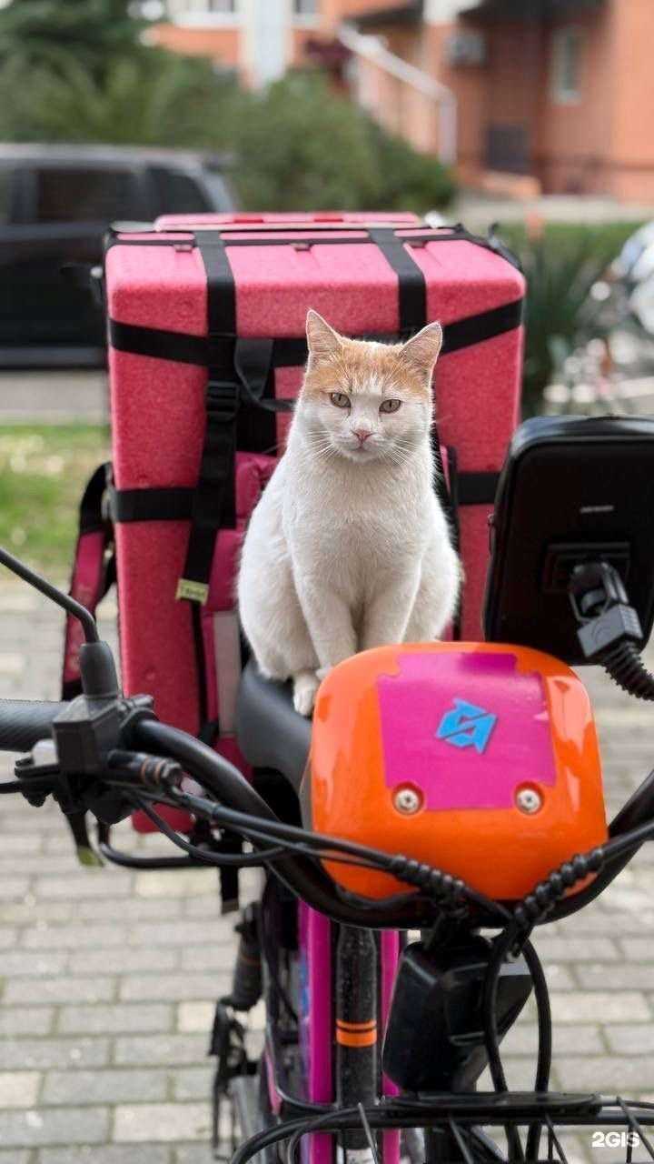 Отзывы на компанию Соник Электрик в Сочи c фото