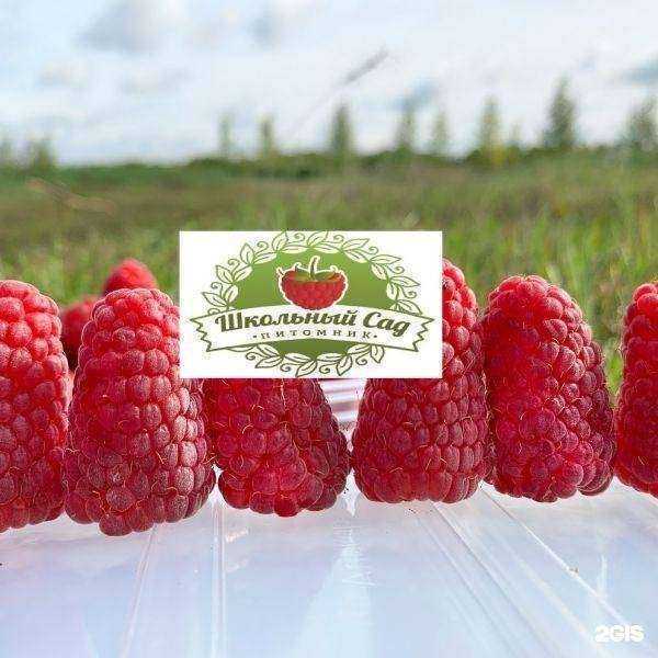 Отзывы на компанию Школьный сад в г. Нижний Новгород c фото