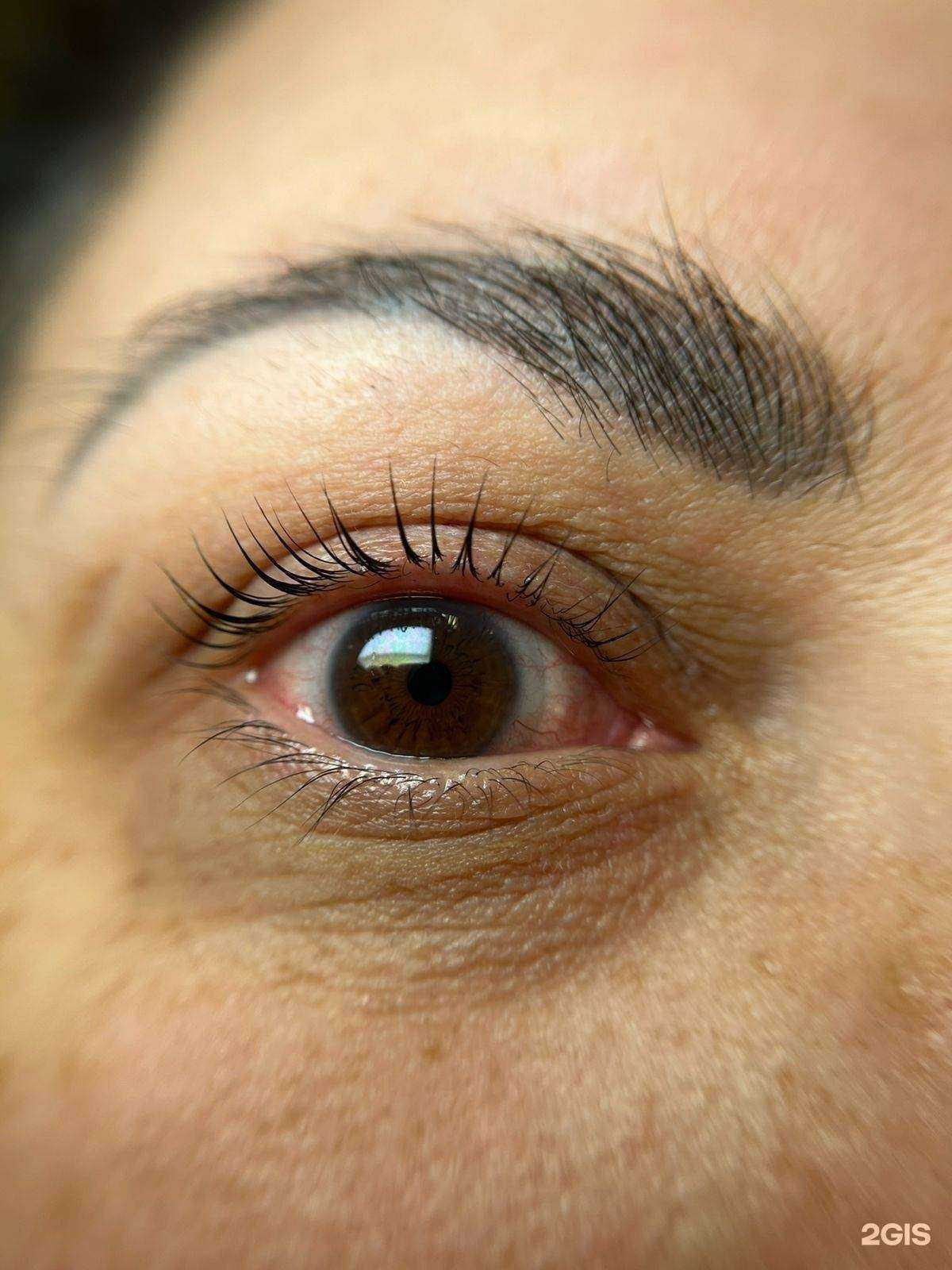 Отзывы на компанию Лиса в Томске c фото