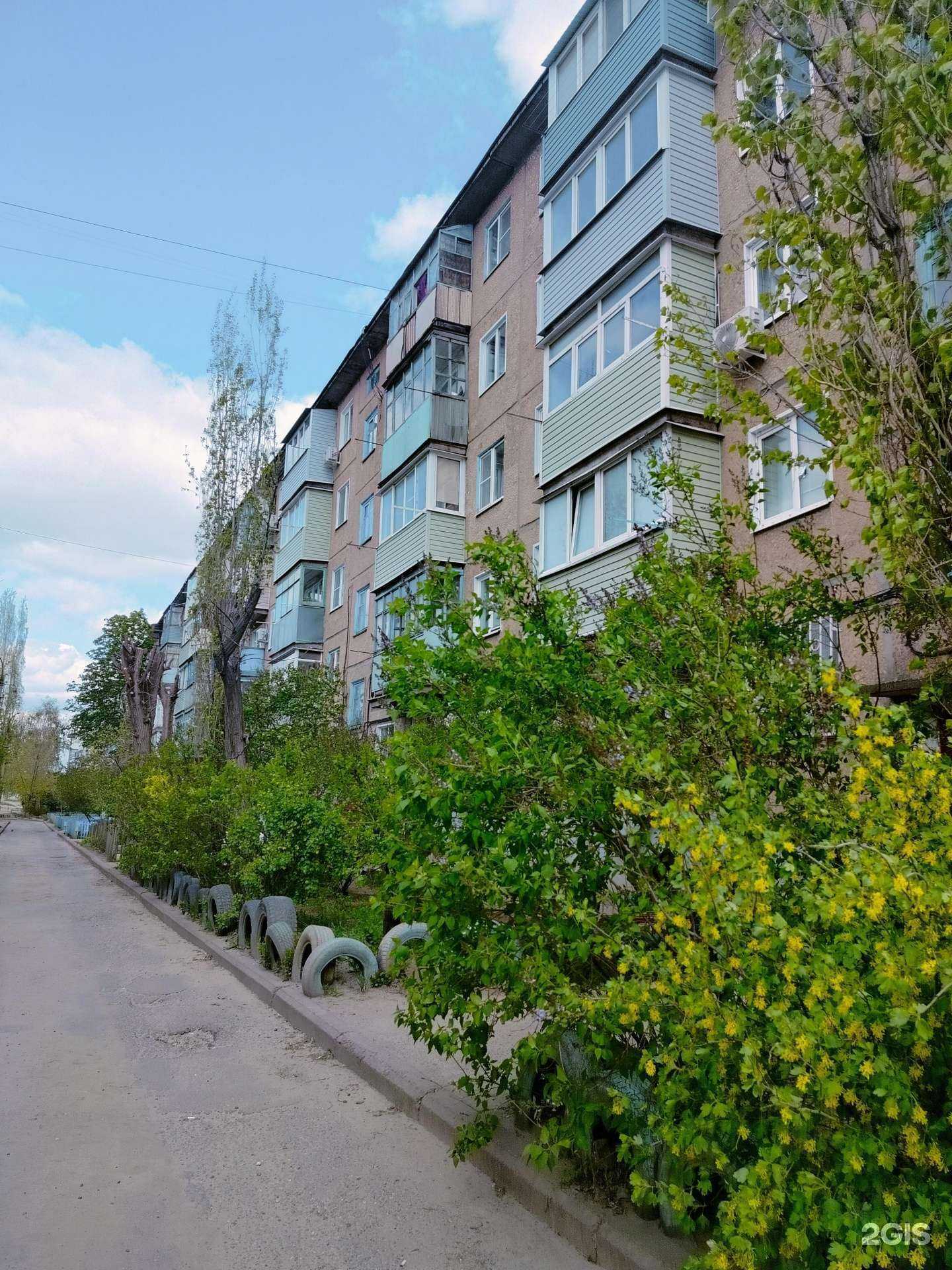 Отзывы на компанию DNS в Камышине c фото