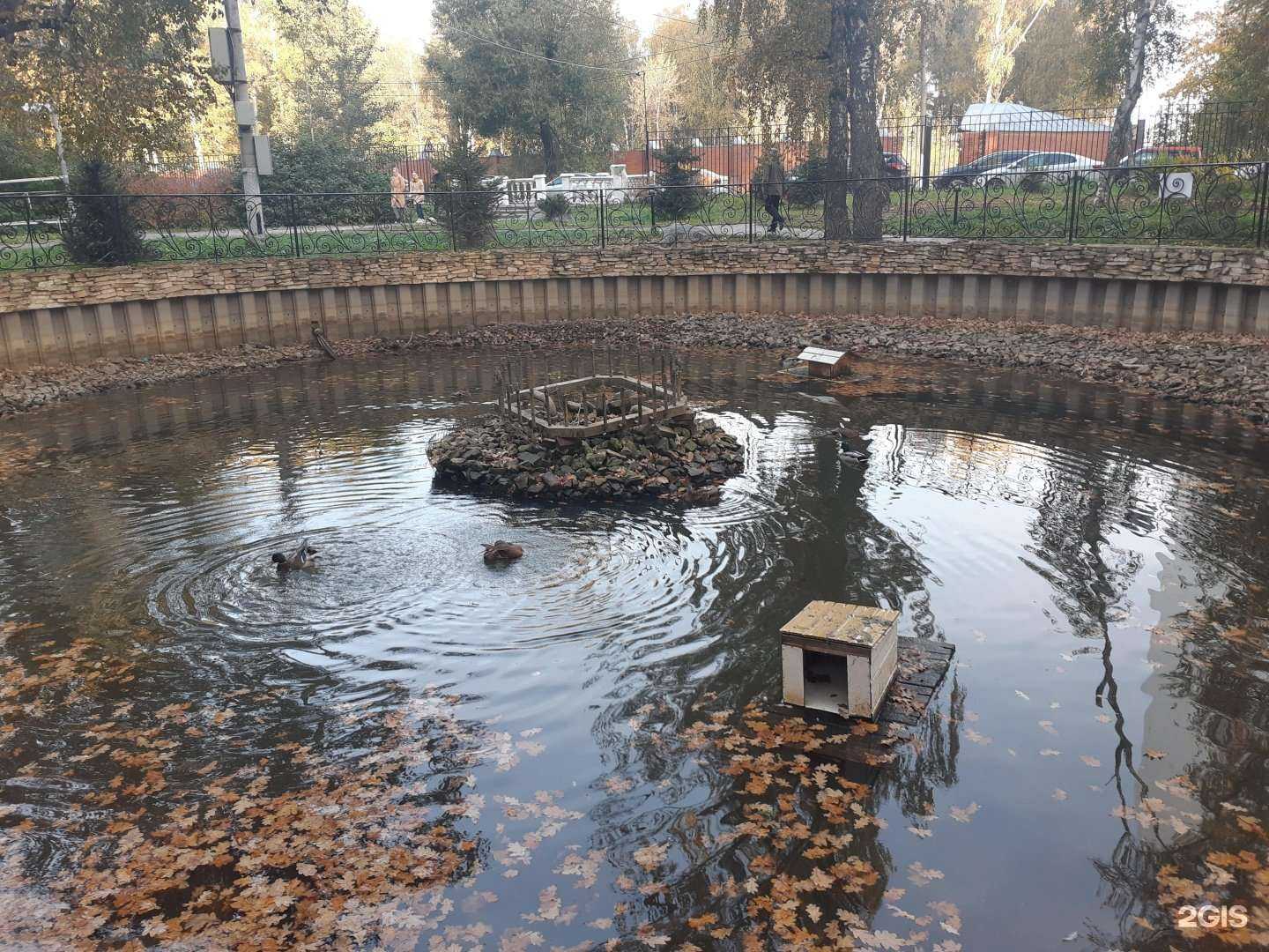 Отзывы на компанию Живика в Химках c фото - фотография 2 из 2