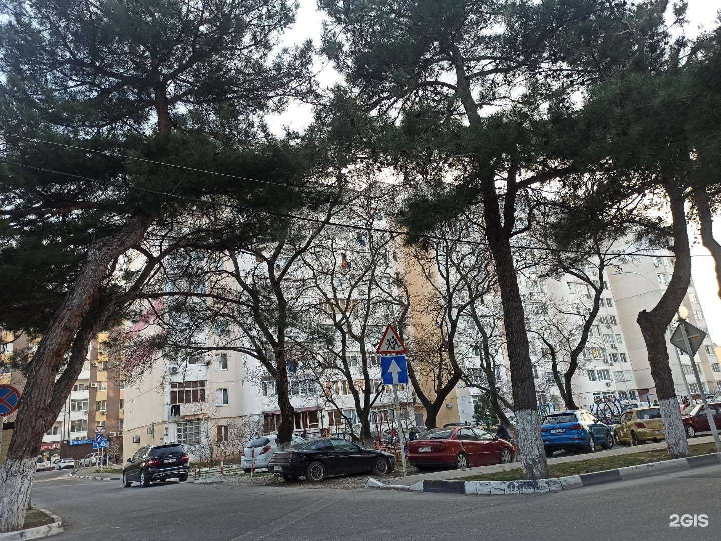 Отзывы на компанию Пумба в Геленджике c фото - фотография 2 из 2