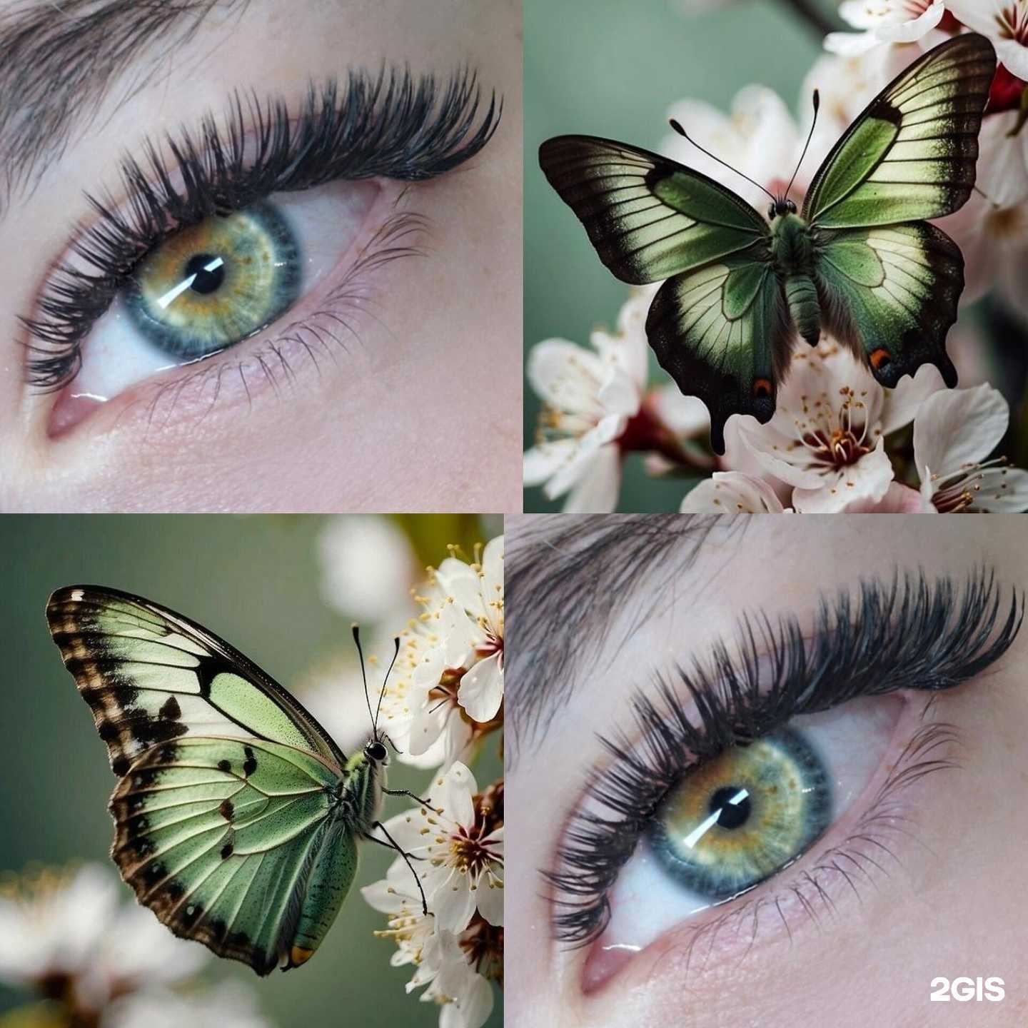 Отзывы на компанию Brows and Lashes в г. Новосибирск c фото