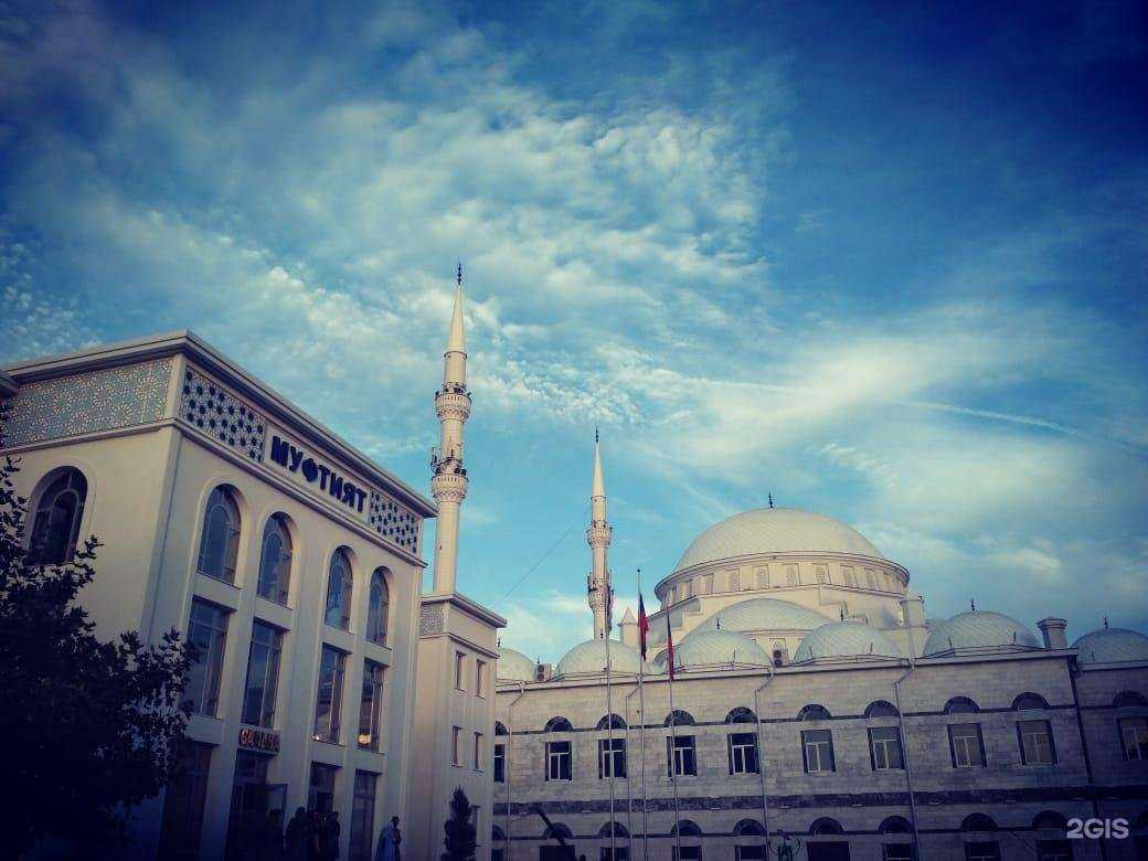 Отзывы на компанию Инсан в Махачкале c фото - фотография 2 из 2