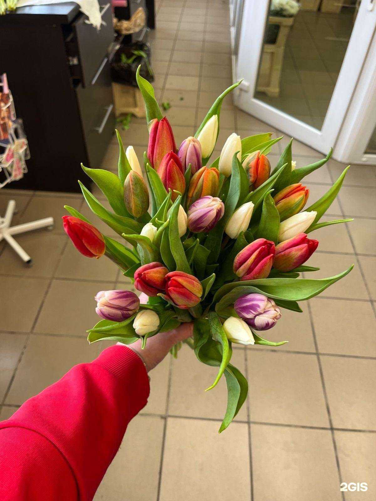 Отзывы на компанию Цветы Голландии в г. Калининград c фото