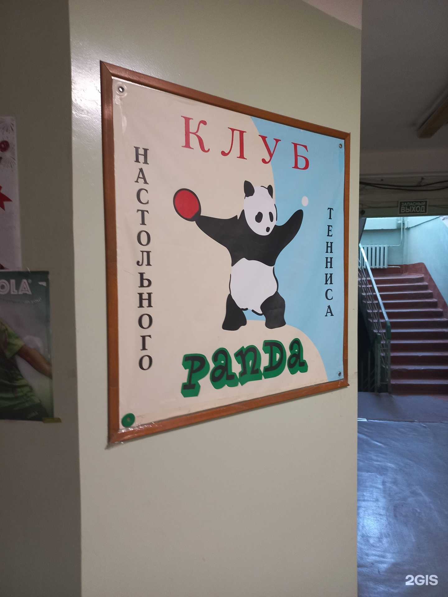 Отзывы на компанию Панда в Самаре c фото