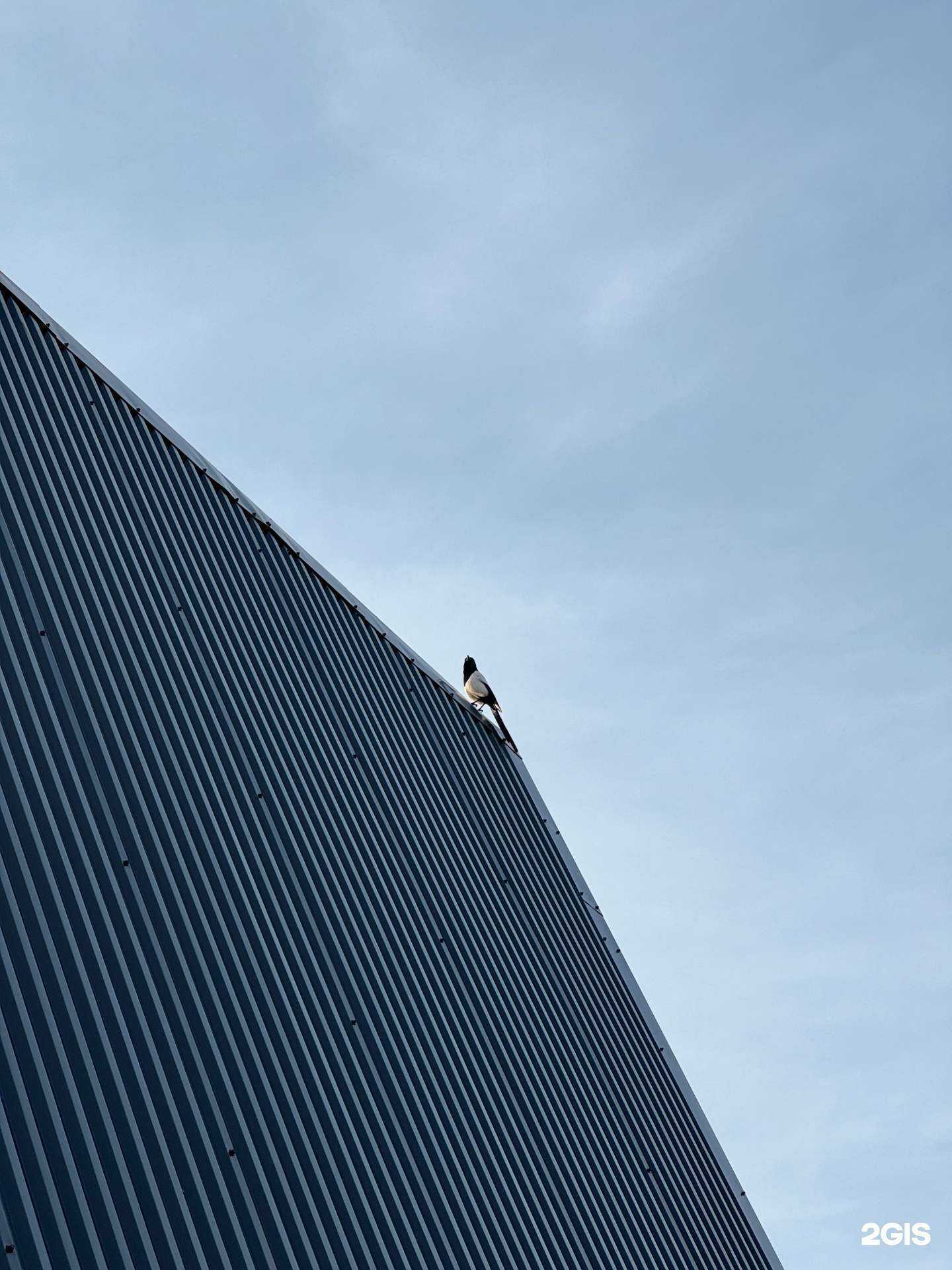 Отзывы на компанию Новый мир в Альметьевске c фото