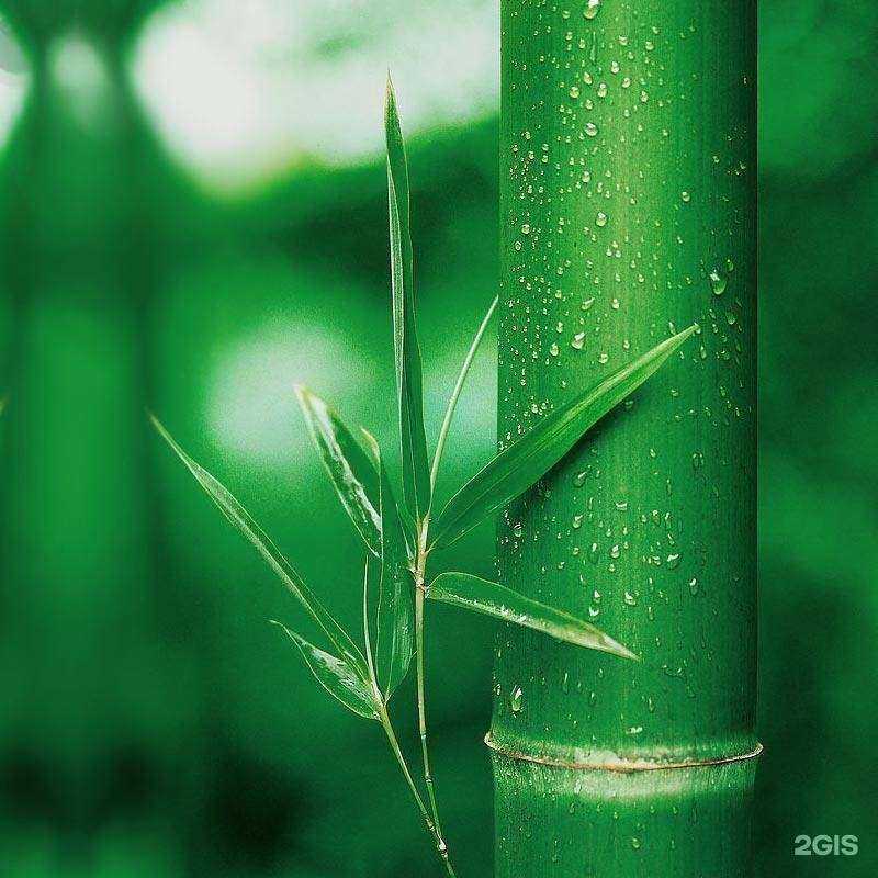 Отзывы на компанию Shiye-jiang в Екатеринбурге c фото