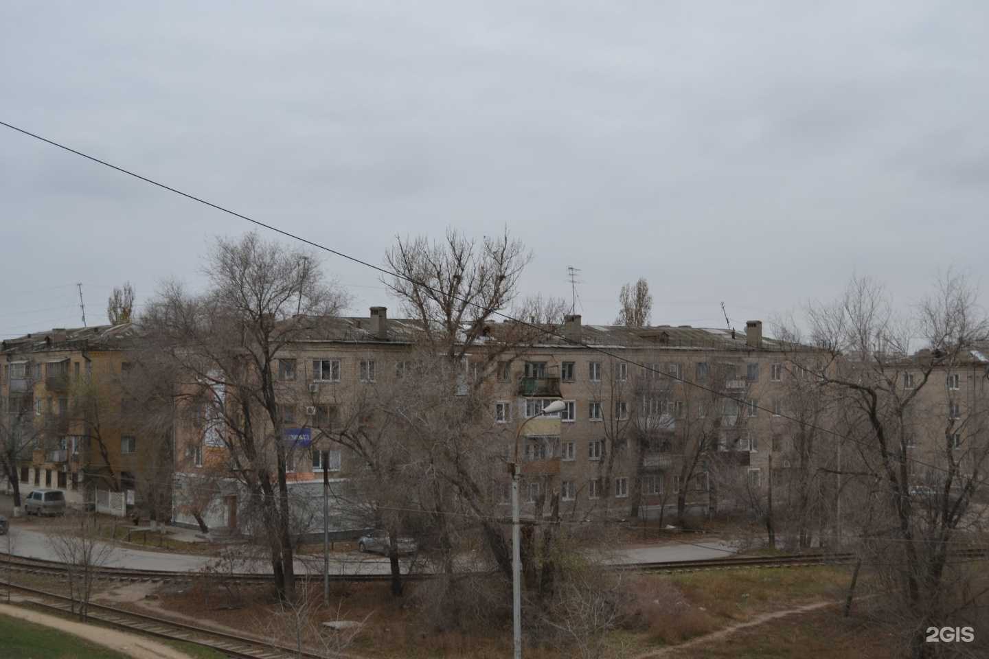 Отзывы на компанию В мире животных в Волгограде c фото - фотография 2 из 2