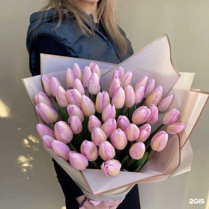 Отзывы на компанию Mr.Grey by цветариум в г. Краснодар c фото