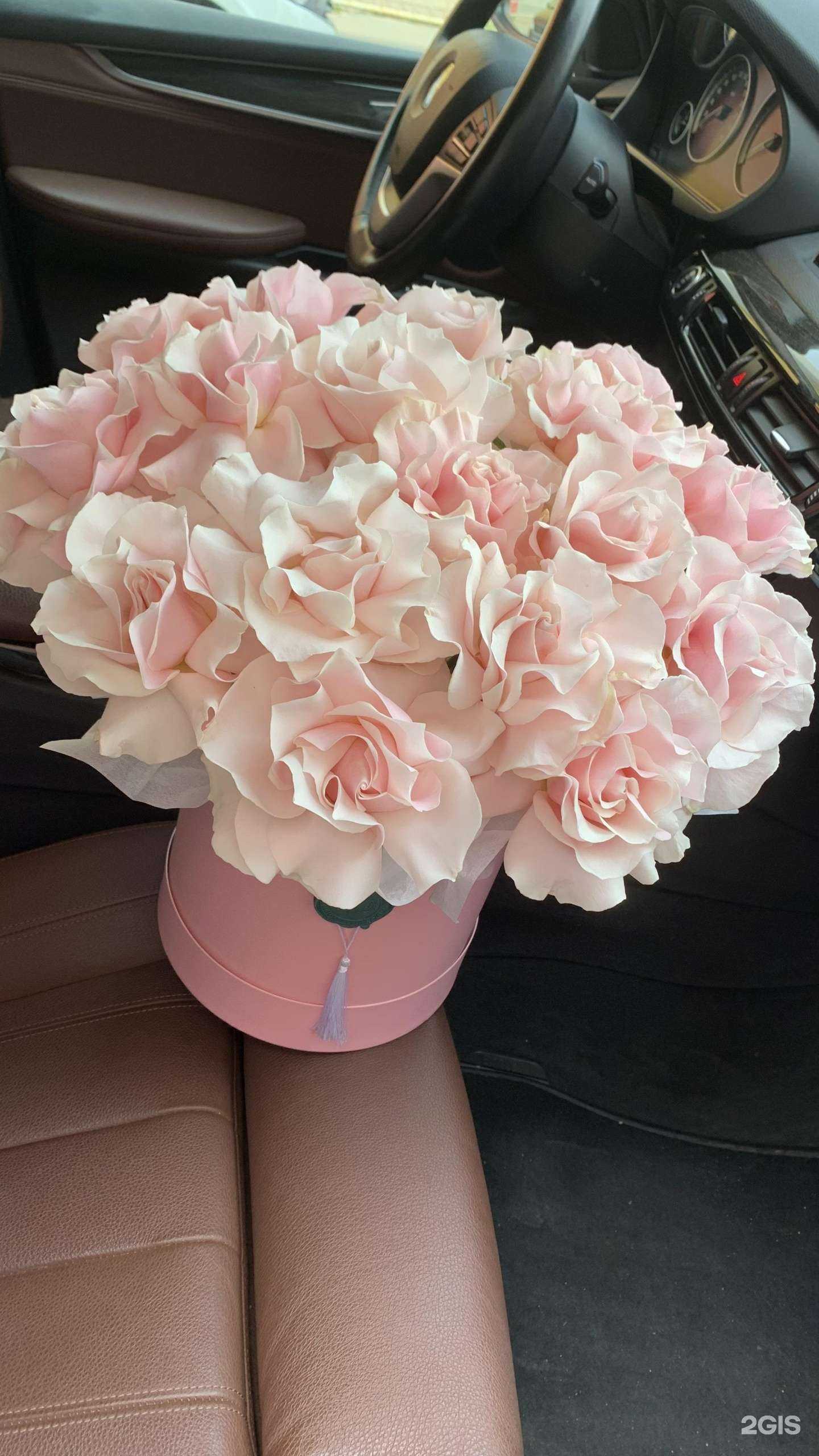 Отзывы на компанию Farfor в Казани c фото