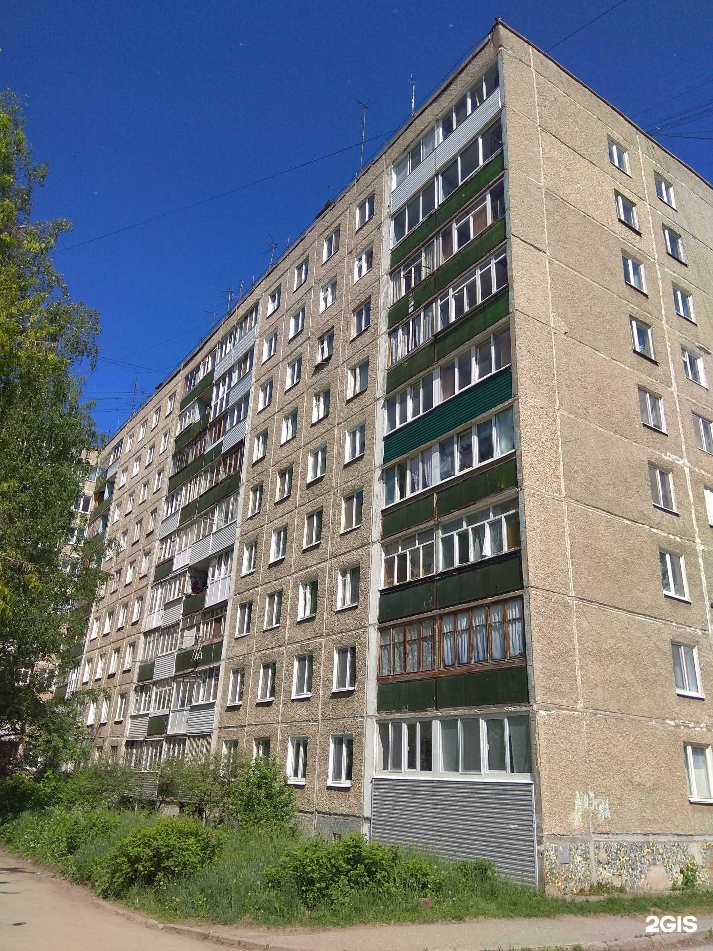 Отзывы на компанию Лев в Перми c фото - фотография 2 из 2