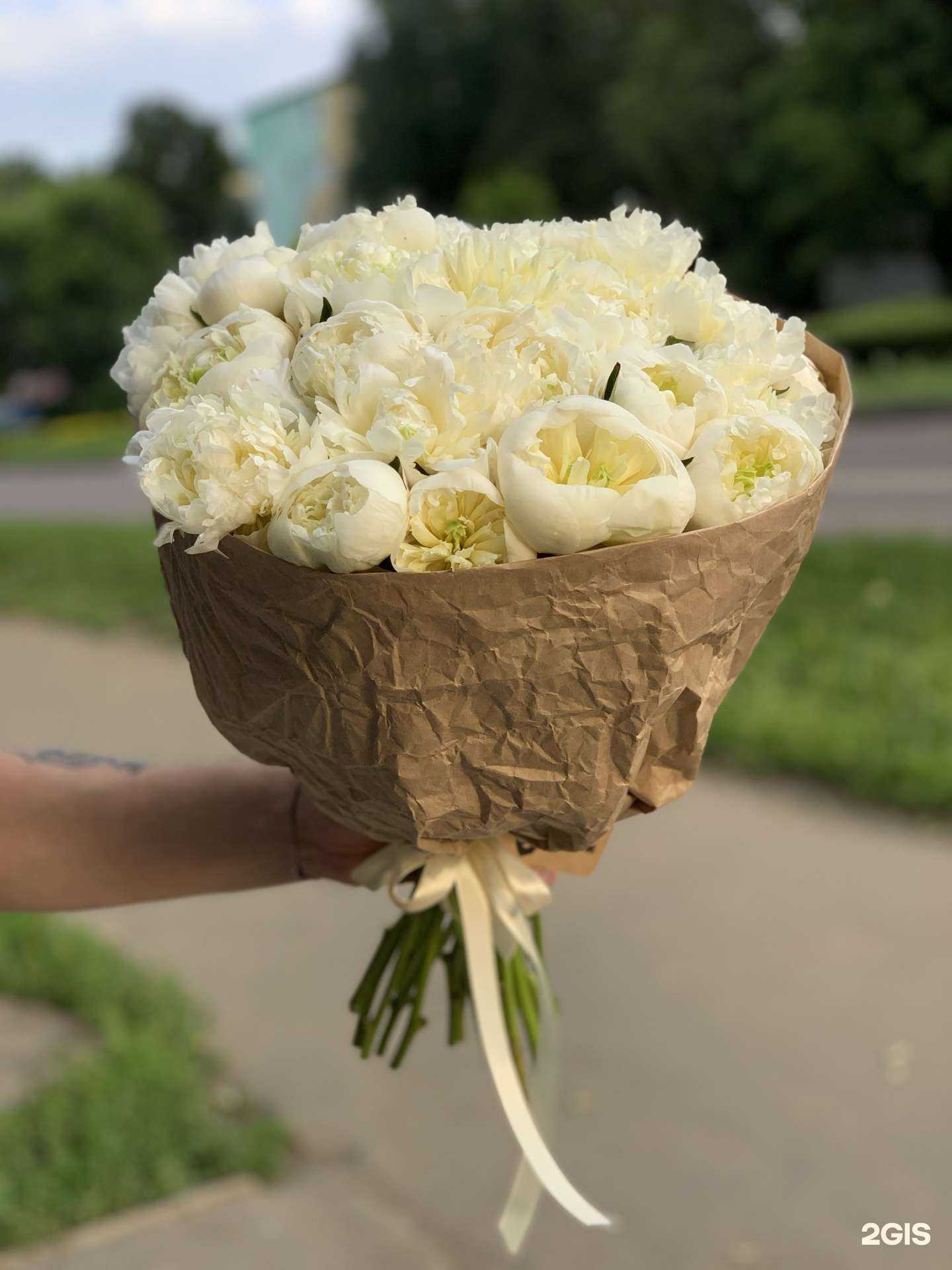 Отзывы на компанию Ботаник в Коломне c фото