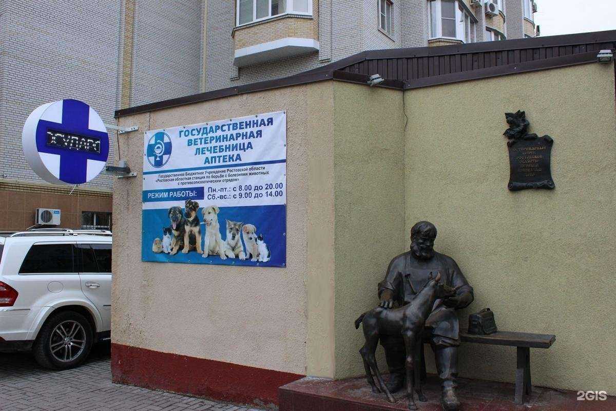 Отзывы на компанию Ветеринарная станция в г. Сальск c фото