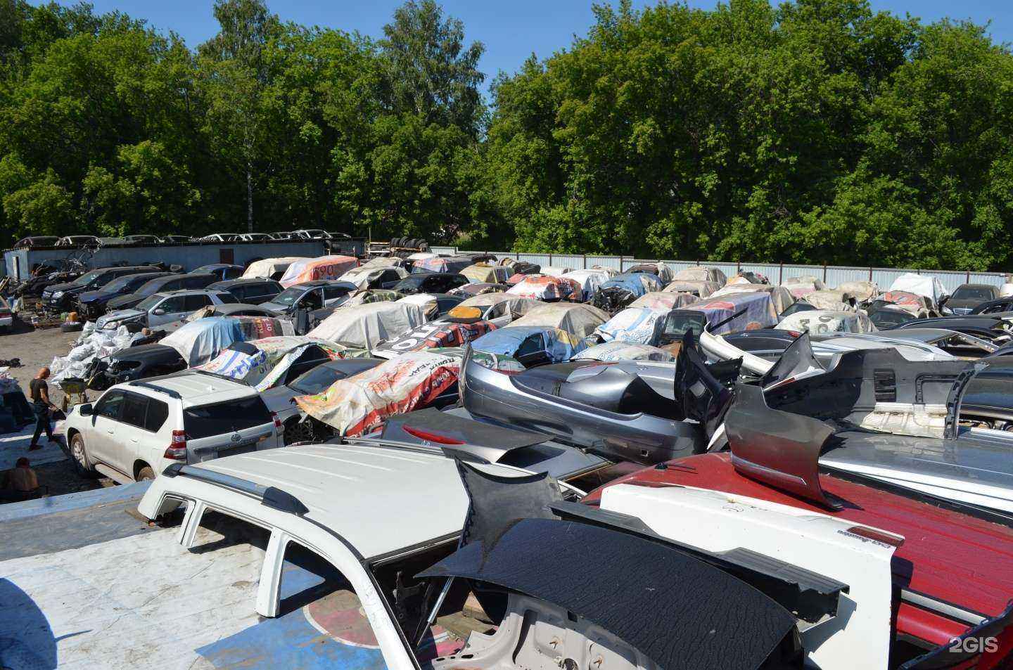 Отзывы на компанию Avtocar54 в Новосибирске c фото