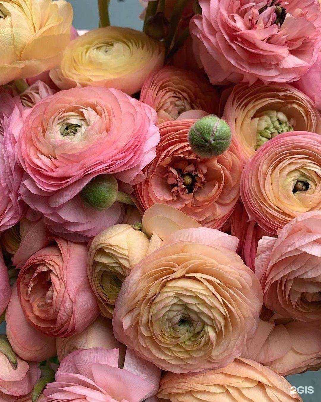 Отзывы на компанию У Натальи в Краснодаре c фото