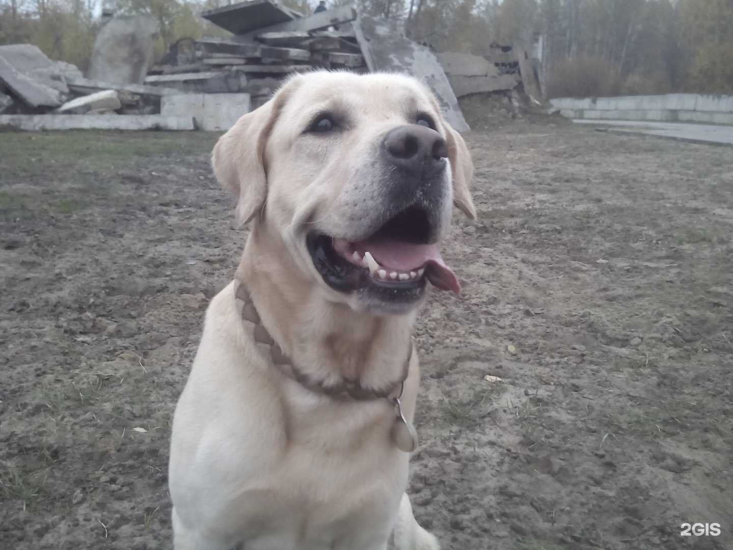 Отзывы на компанию Сыктывкарский поисково-спасательный отряд в г. Сыктывкар c фото