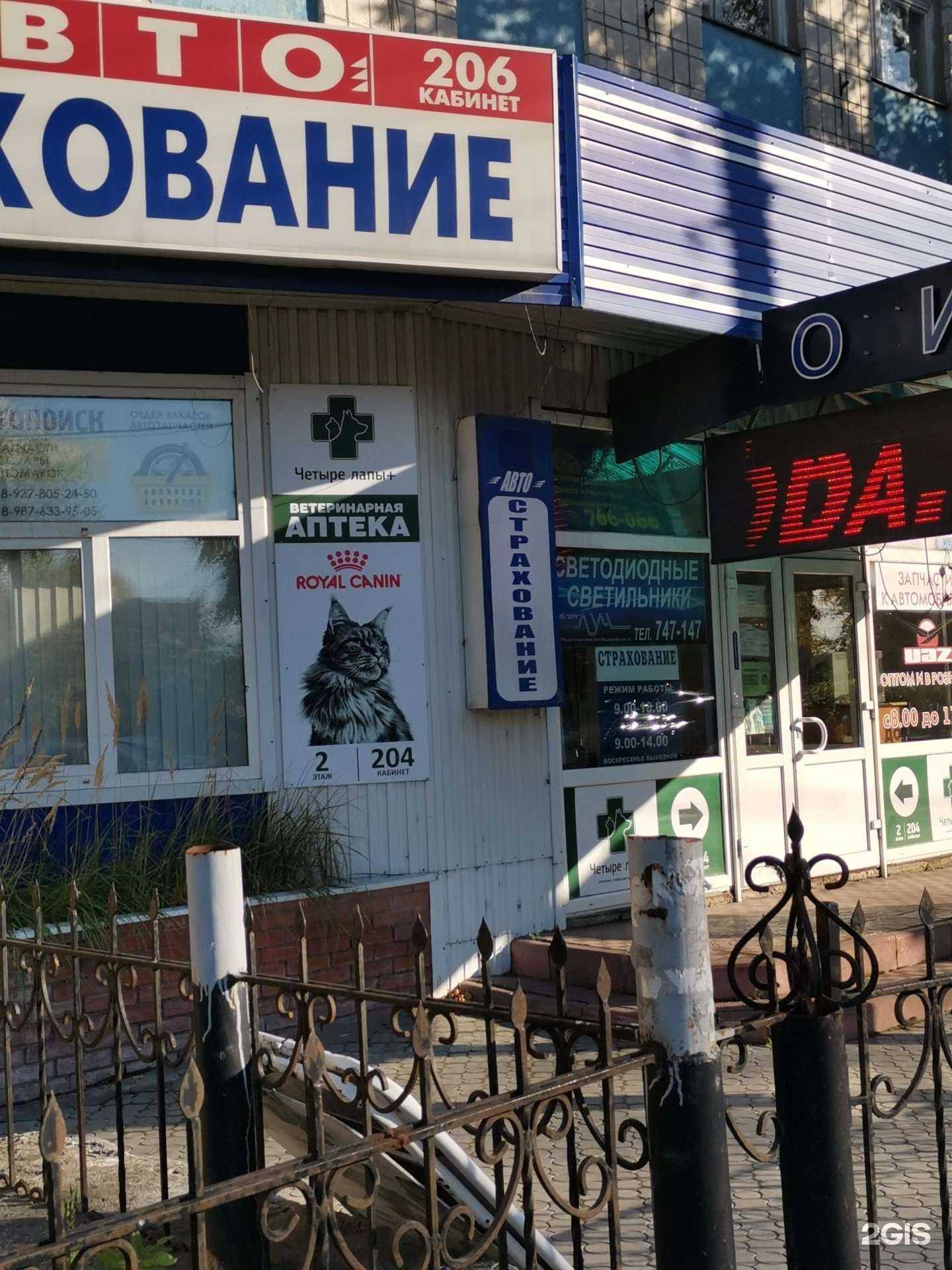 Отзывы на компанию Четыре лапы+ в Ульяновске c фото