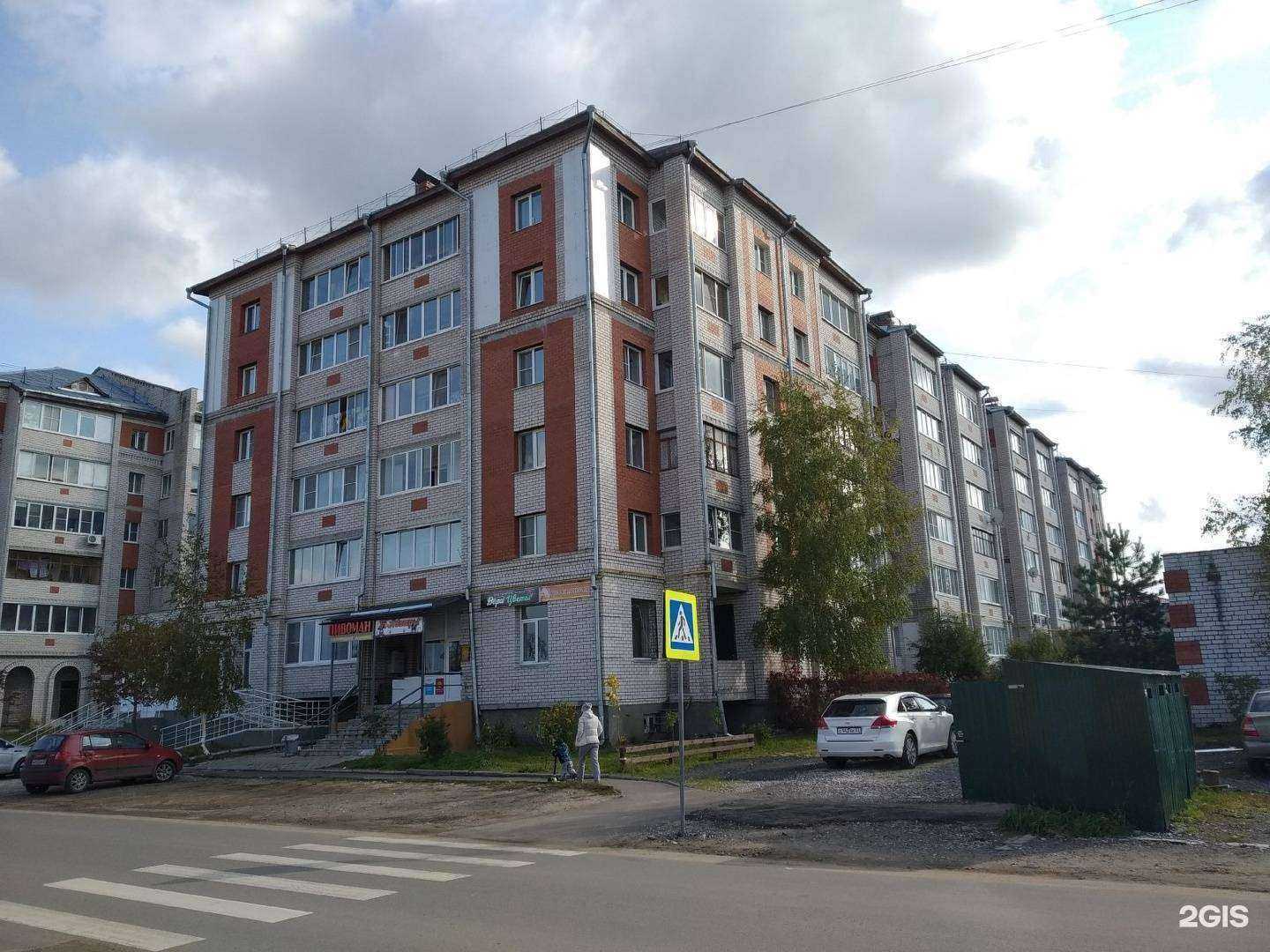 Отзывы на компанию Пушистик в Владимире c фото - фотография 2 из 2