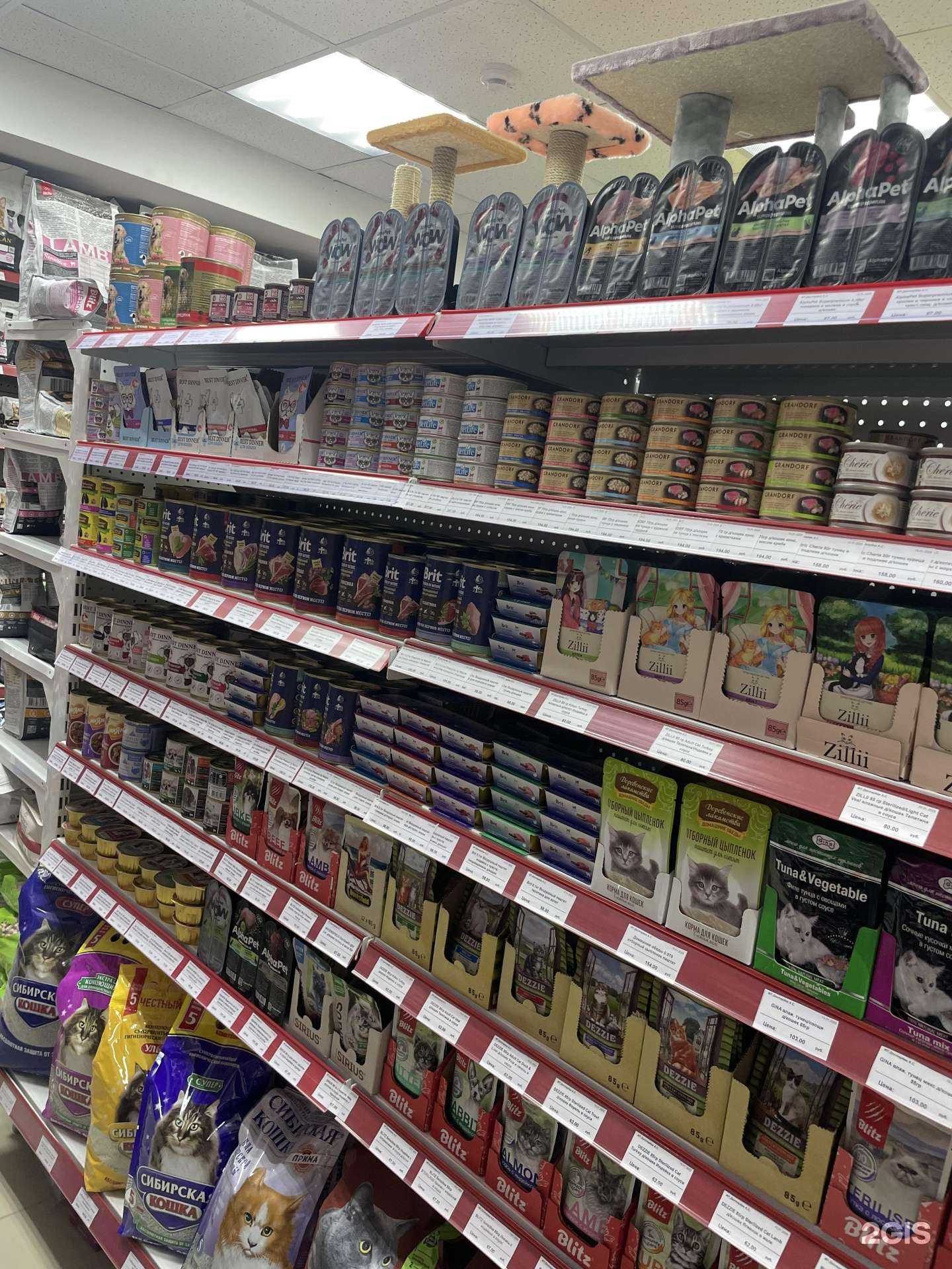 Отзывы на компанию Любимец в Сургуте c фото