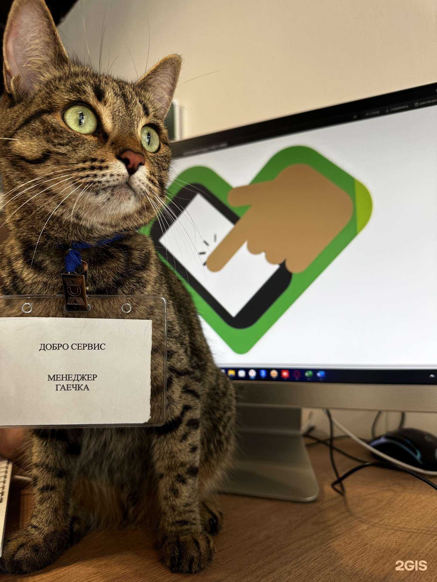 Отзывы на компанию Добро Сервис в Екатеринбурге c фото