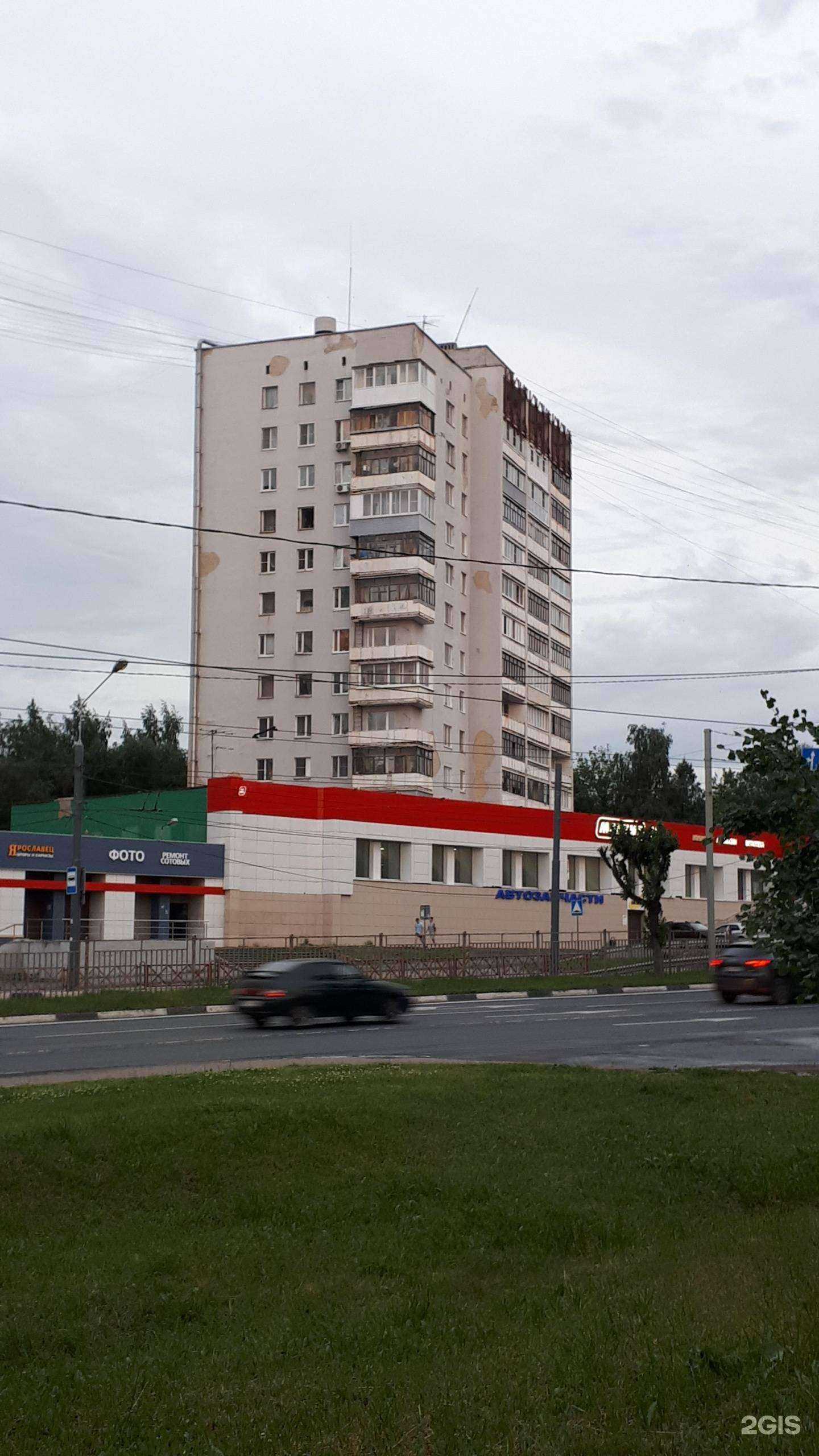 Отзывы на компанию Птичка в Ярославле c фото - фотография 2 из 2