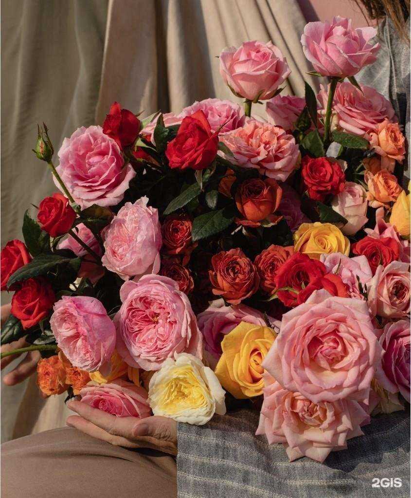 Отзывы на компанию Своя роза в Волгограде c фото