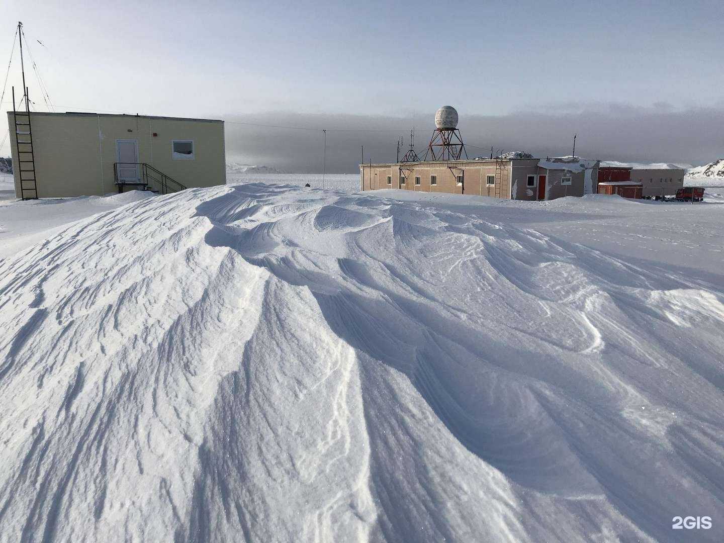Отзывы на компанию Мобиба-Shibargan в Самаре c фото