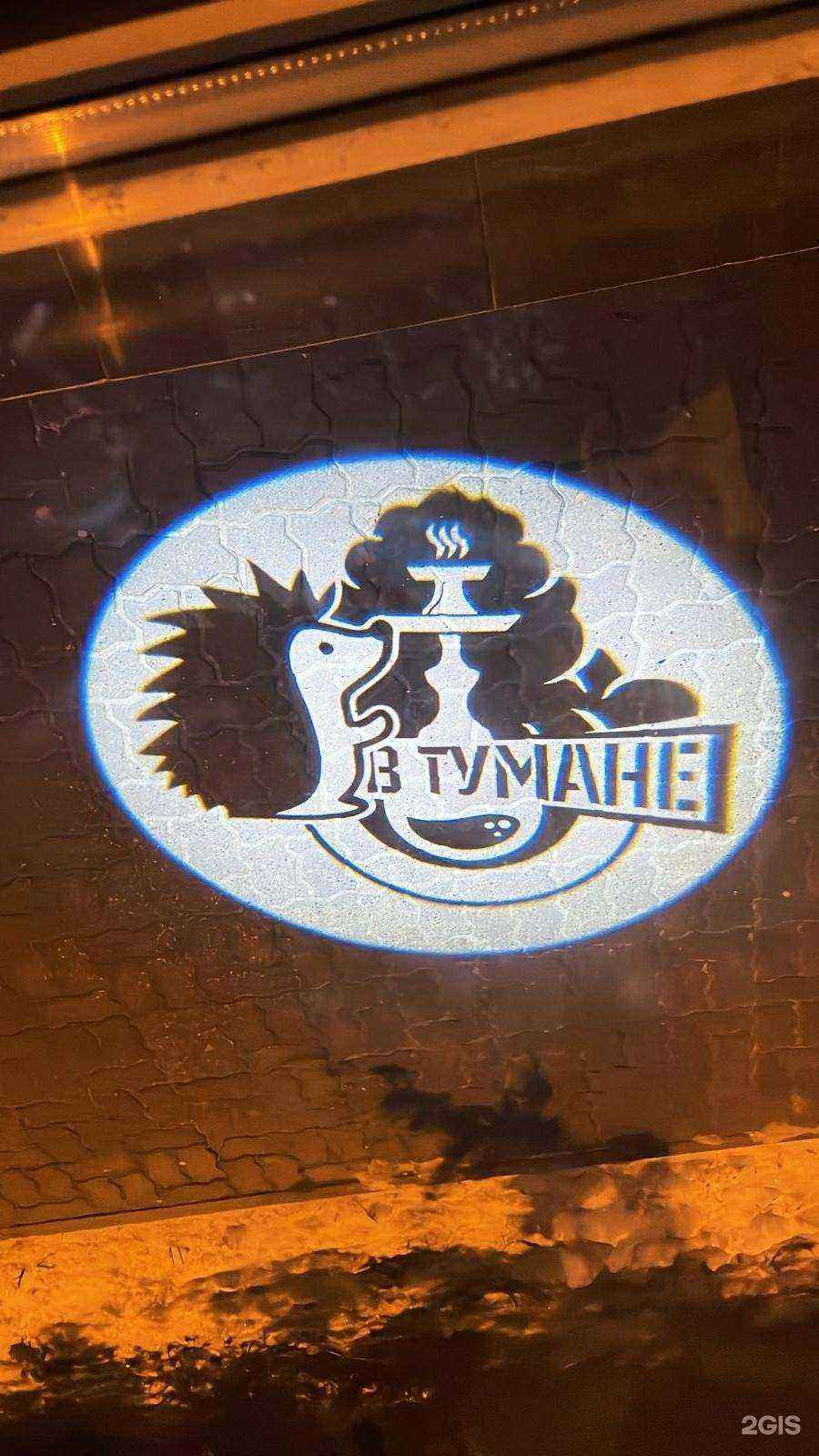 Отзывы на компанию Ежик в тумане в Камышине c фото