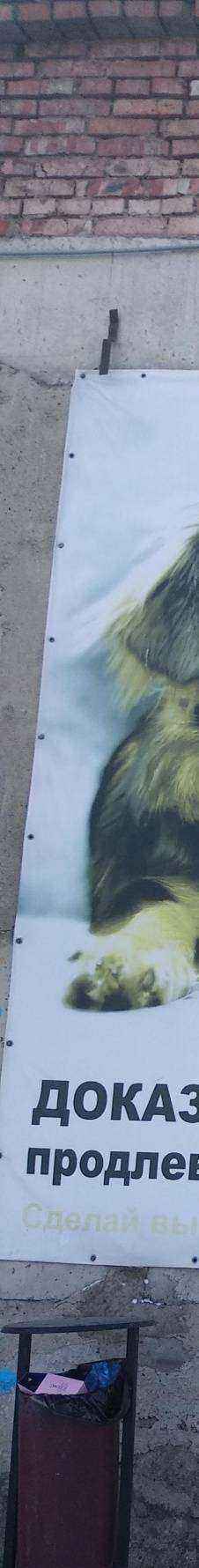 Отзывы на компанию Ferrum door в Омске c фото - фотография 2 из 2