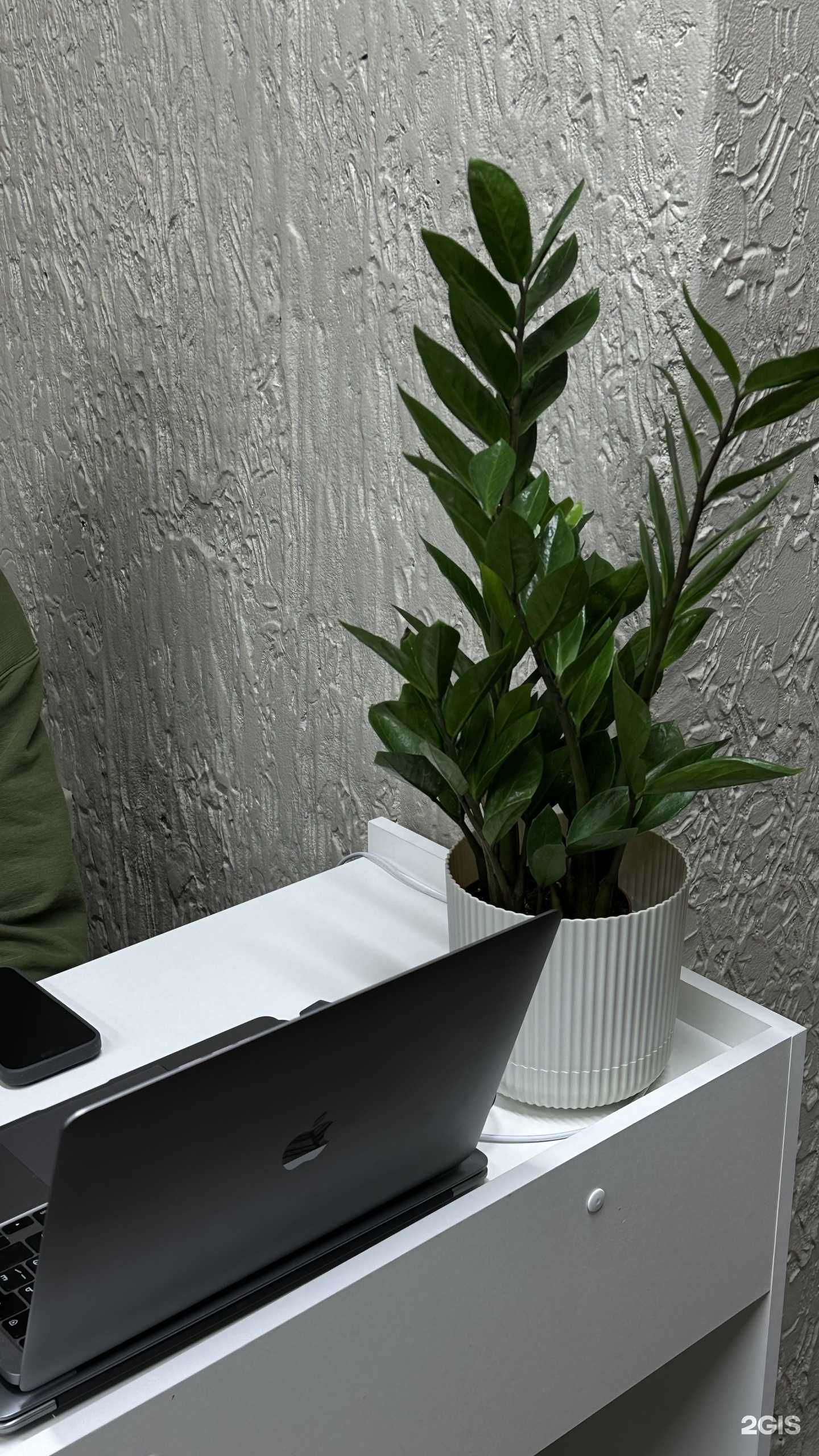 Отзывы на компанию Южные кроссовки в Краснодаре c фото