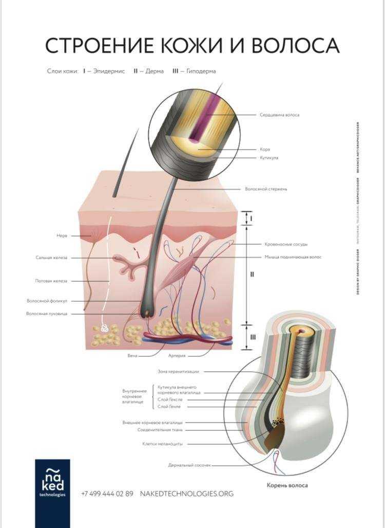 Отзывы на компанию Topaz_lazer в Новороссийске c фото
