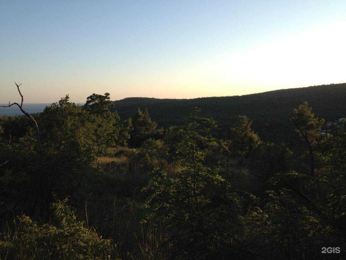 Отзывы на компанию Маргарита в Геленджике c фото