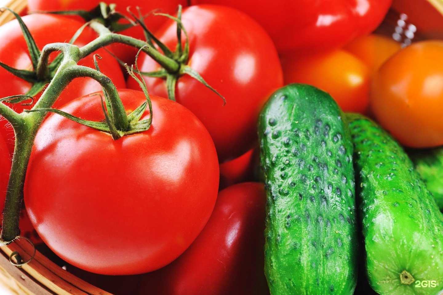 Отзывы на компанию Dacha group в Воронеже c фото