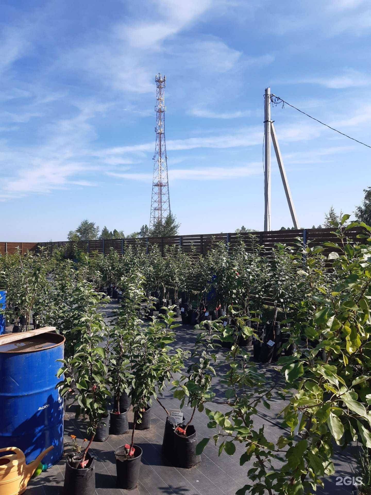 Отзывы на компанию Верхнеключевской в Каменске-Уральском c фото - фотография 2 из 2