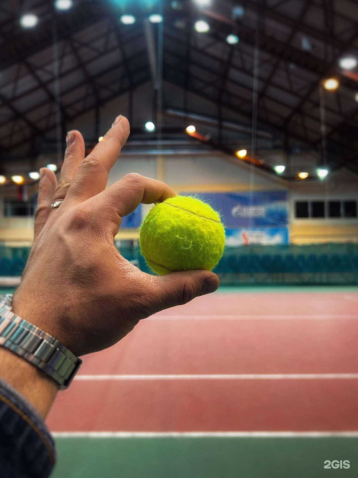 Отзывы на компанию Премьер арена в Сургуте c фото