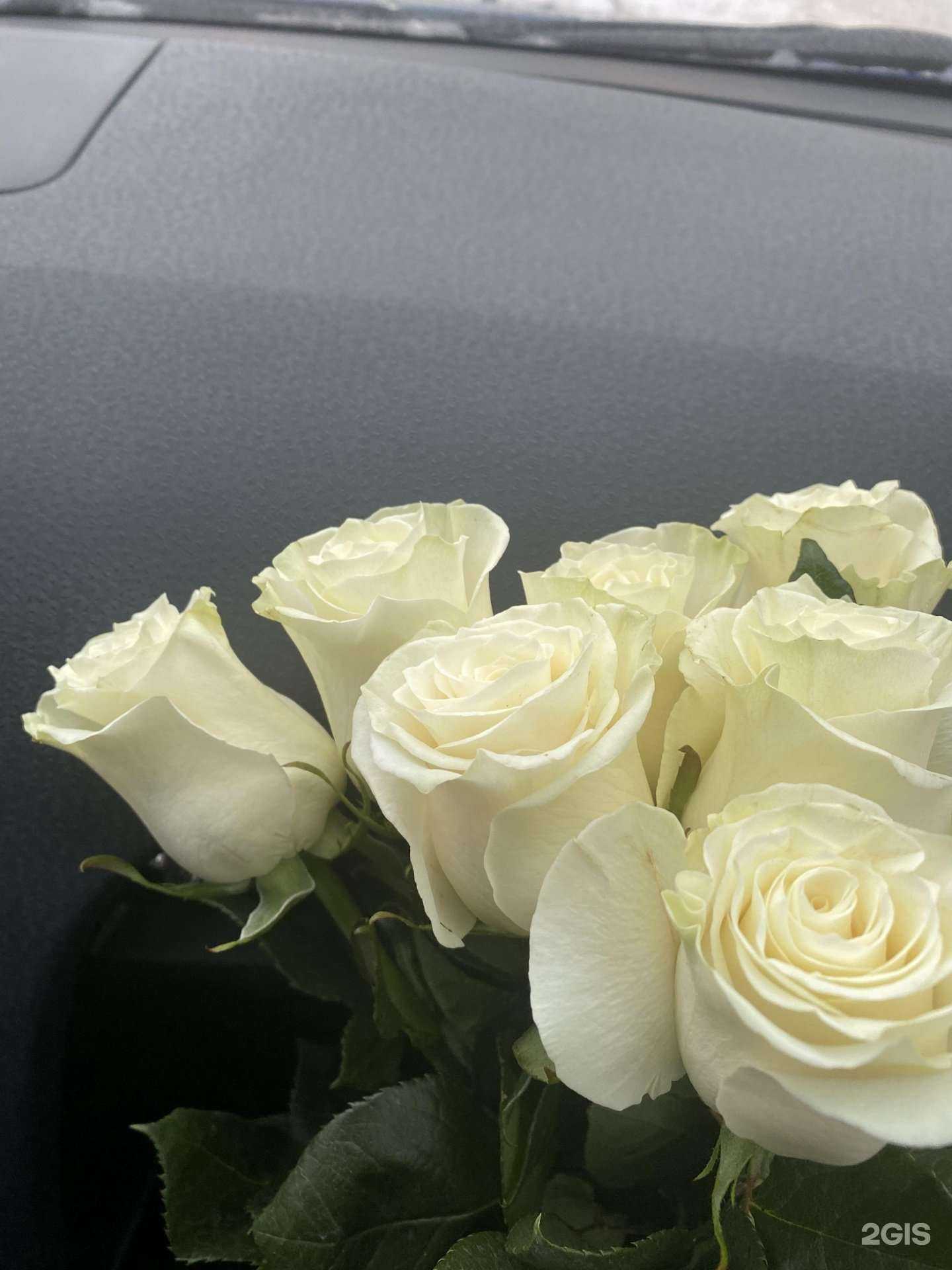 Отзывы на компанию Уфа Интер-флора в Уфе c фото