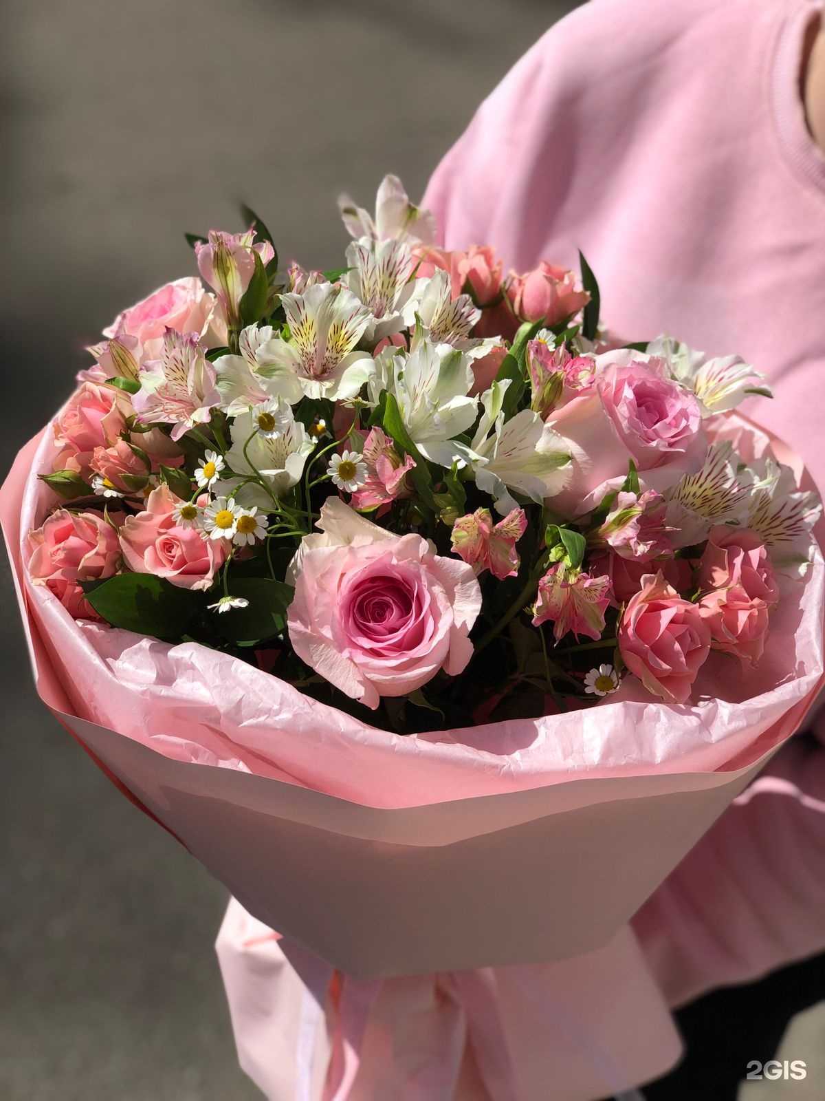 Отзывы на компанию Vesna в Прокопьевске c фото