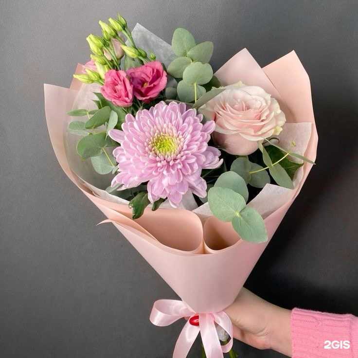 Отзывы на компанию Oazis в Сыктывкаре c фото