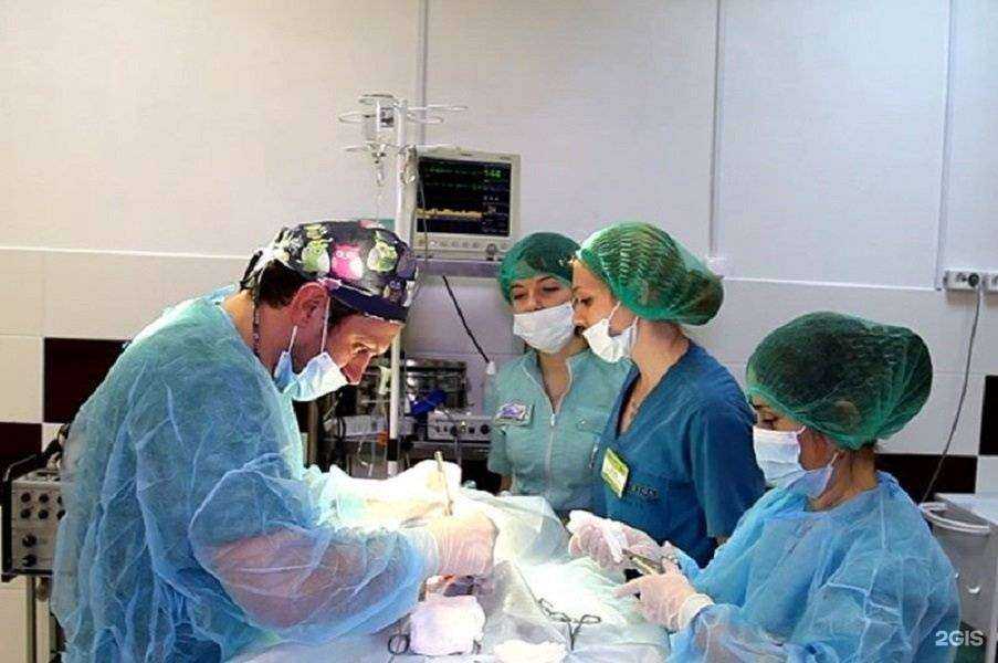 Отзывы на компанию Свой доктор в Красногорске c фото