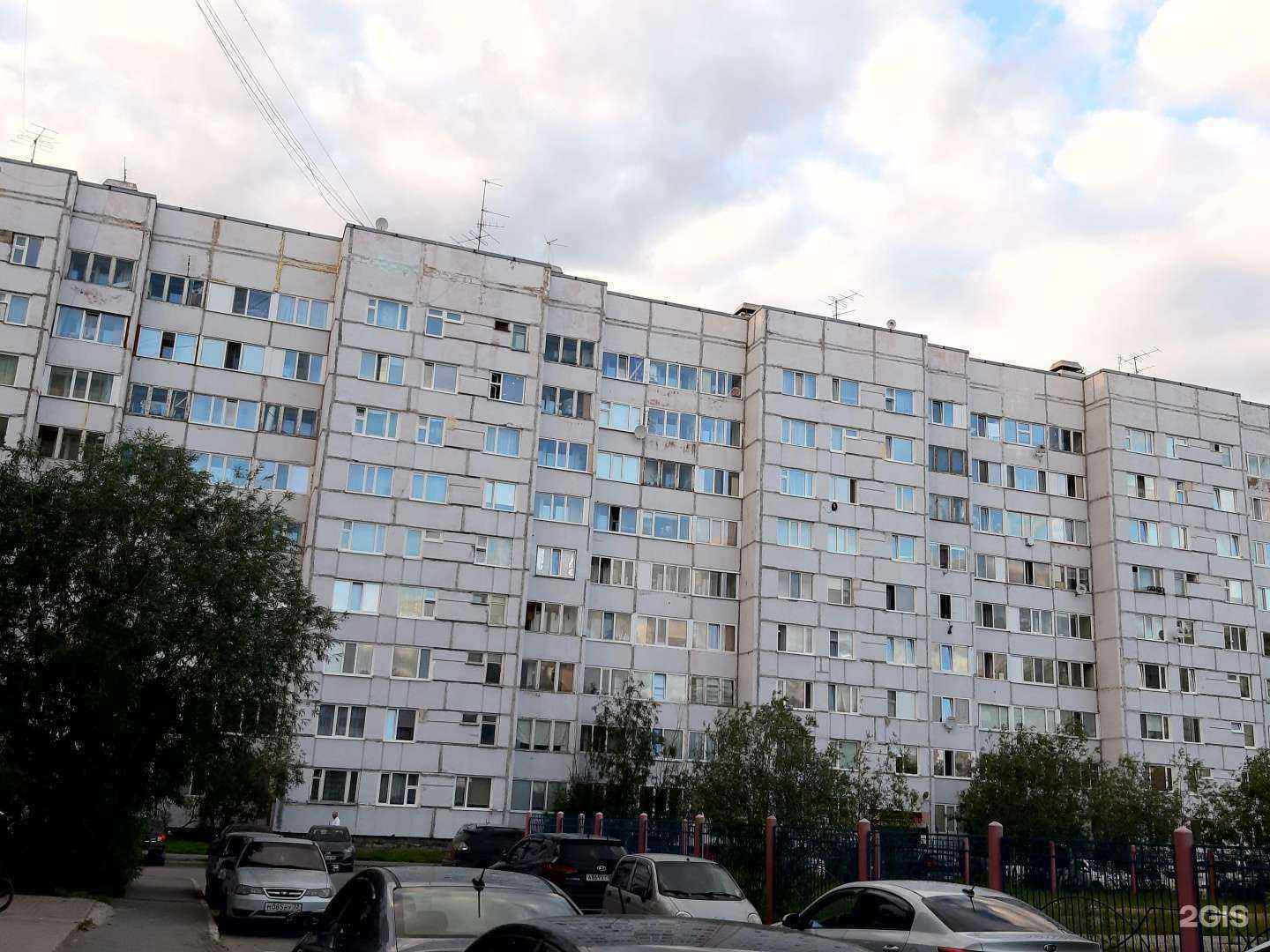 Отзывы на компанию Груминг-салон в Новом Уренгое c фото - фотография 2 из 2