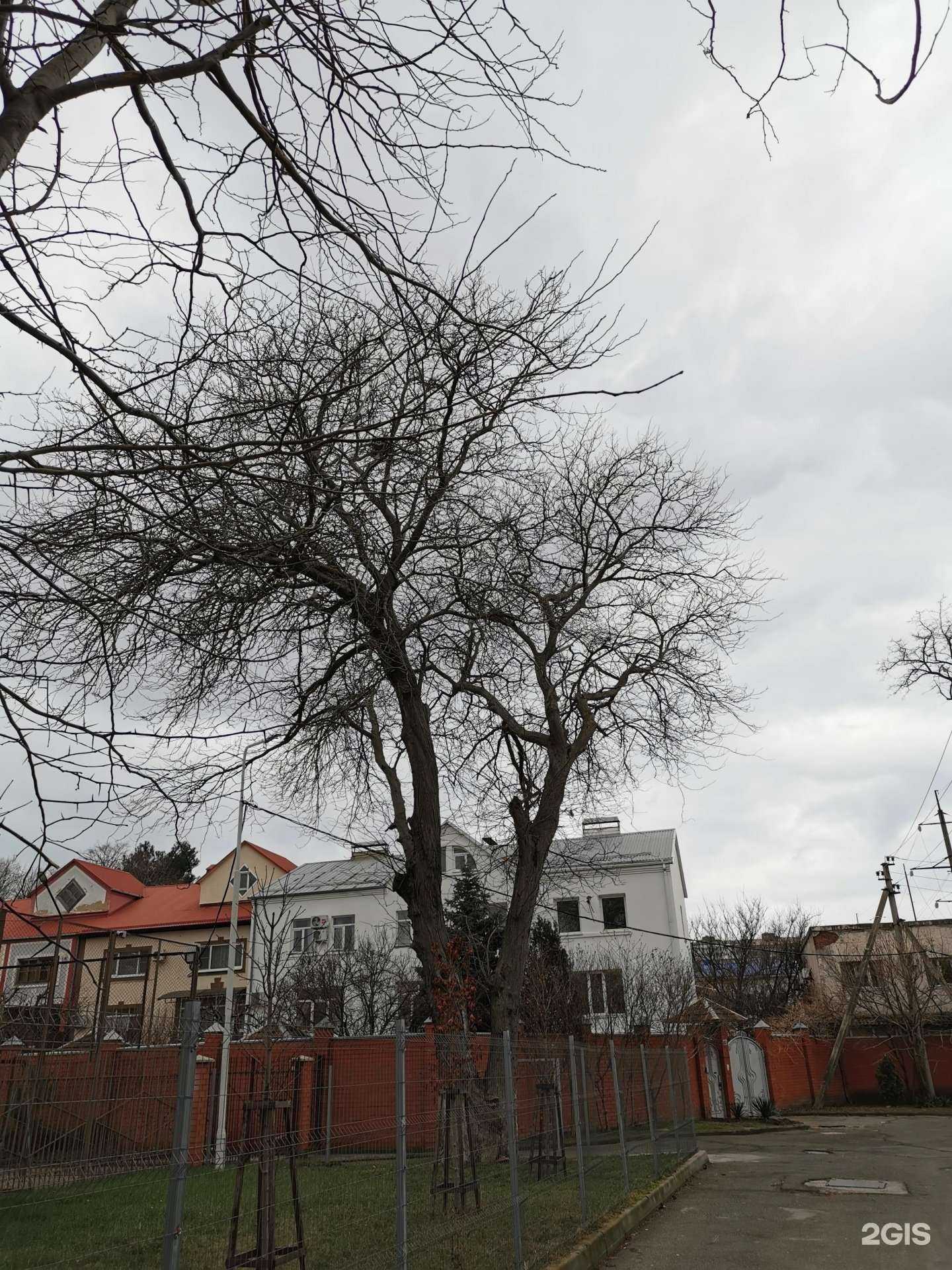 Отзывы на компанию Компания по аренде теннисного корта в Анапе c фото - фотография 2 из 2