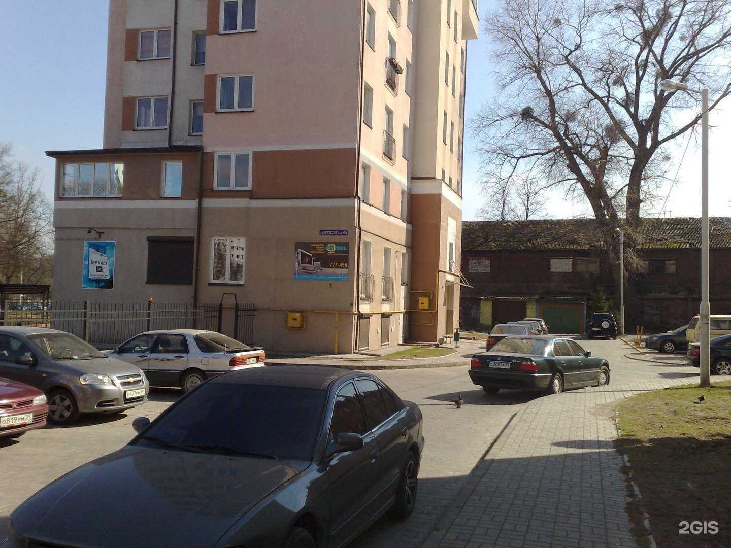 Отзывы на компанию Виттера в Калининграде c фото