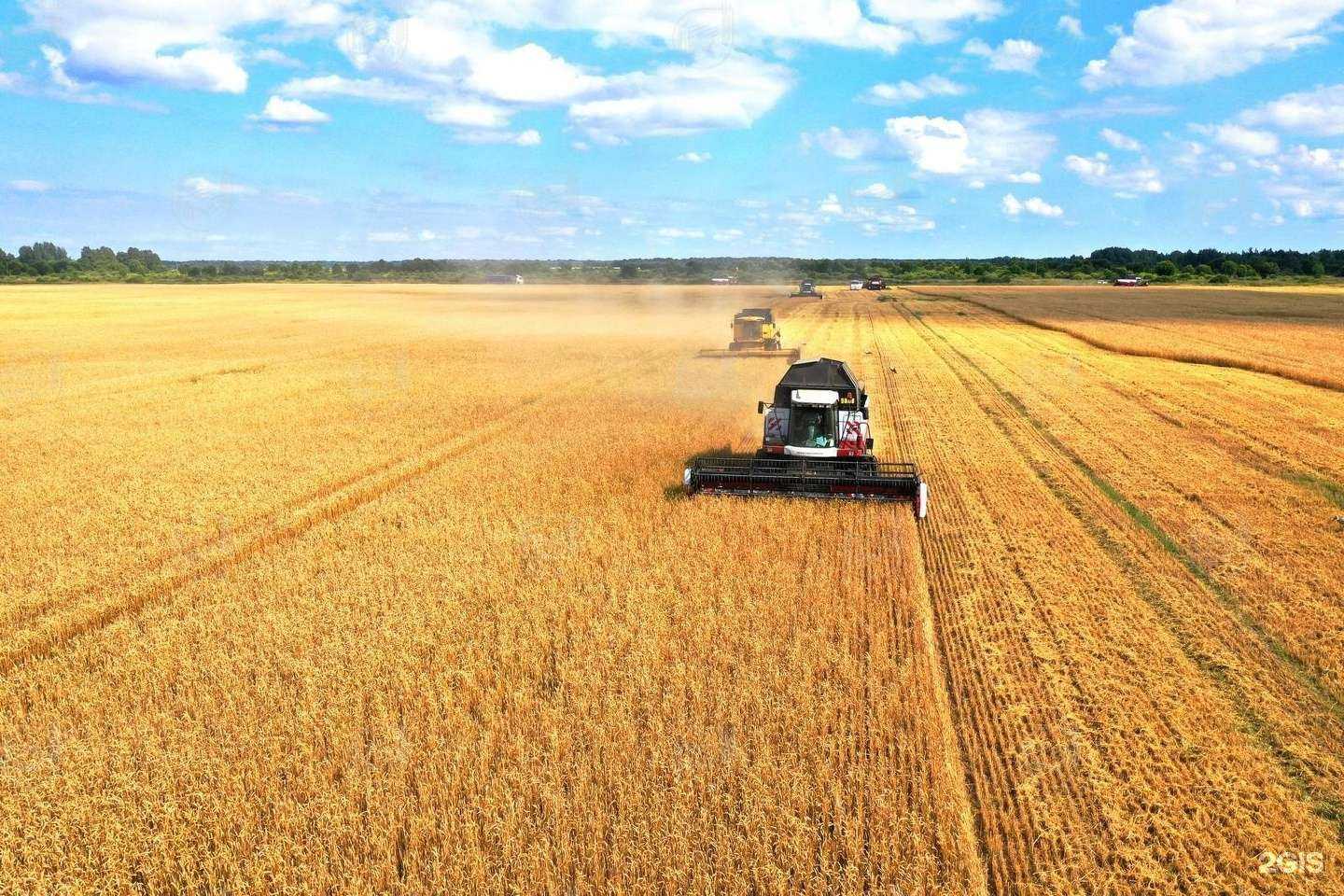 Отзывы на компанию Деревня Соловьи в Пскове c фото